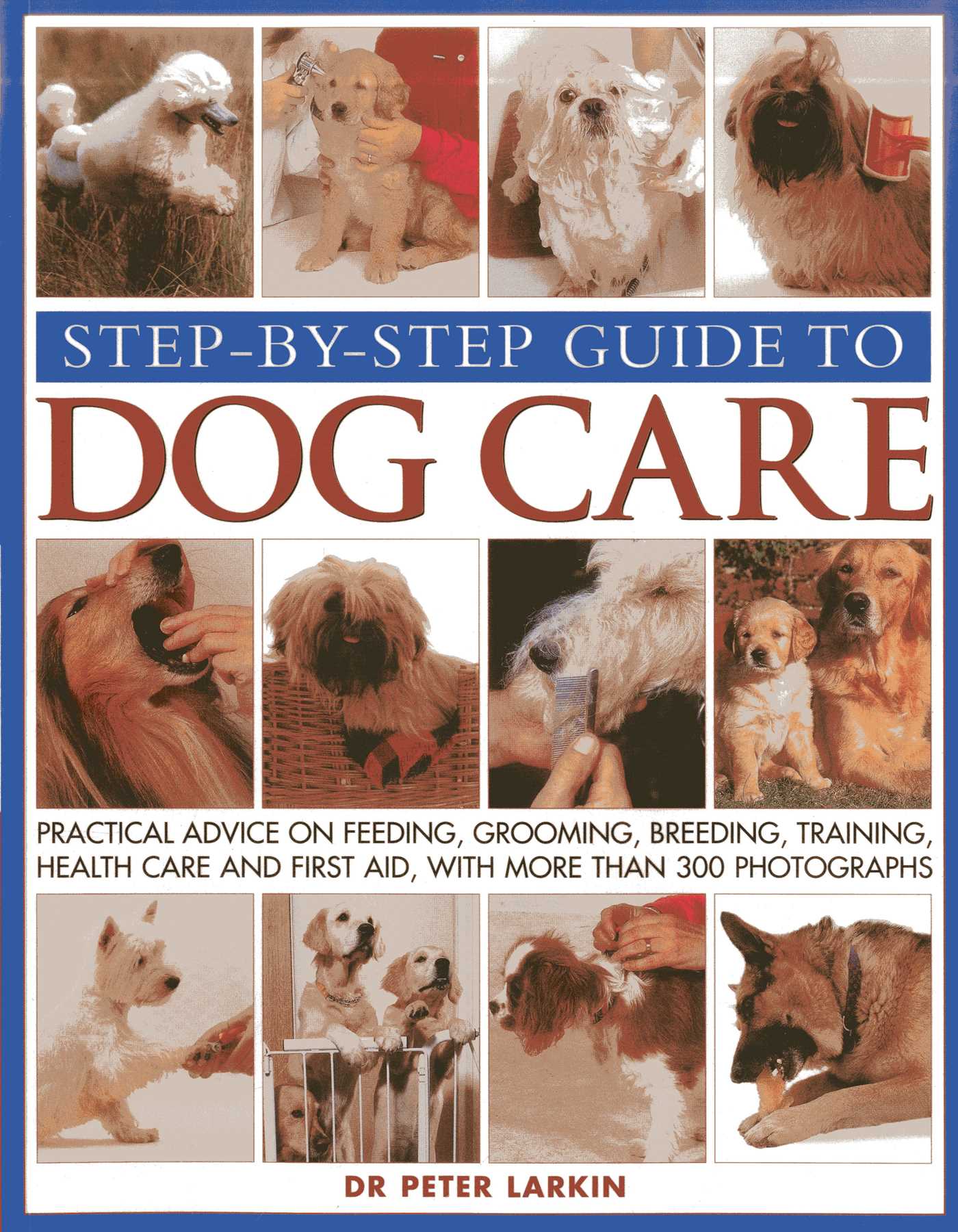 Step-By-Step Guide To Dog Care