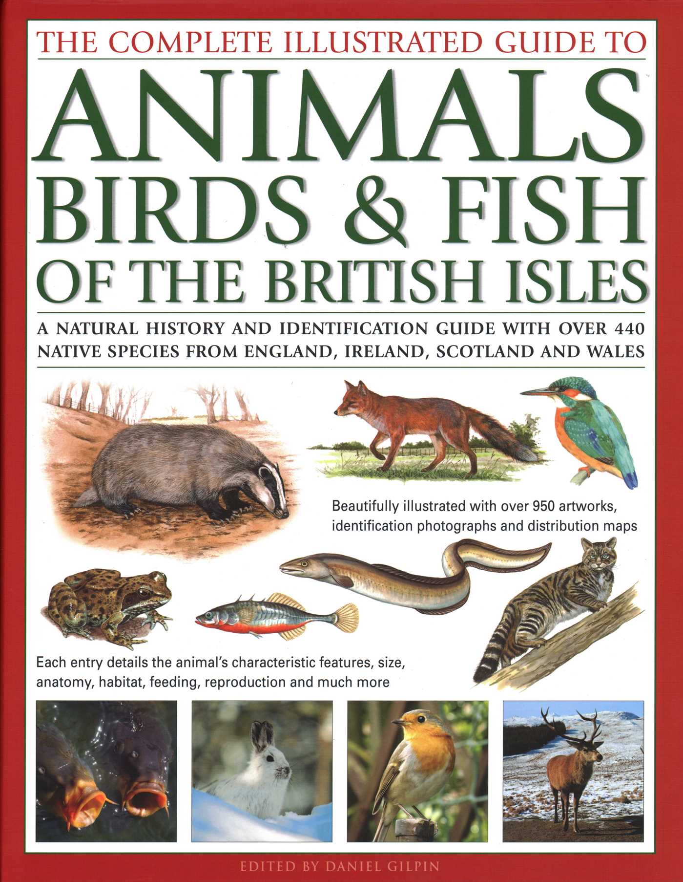Complete Illustrated Guide to Animals, Birds & Fish of the British Isles: A Natural History And Identification Guide With Over 440 Native Species From England, Ireland, Scotland And Wales, Beautifully Illustrated With Over 950 Artworks