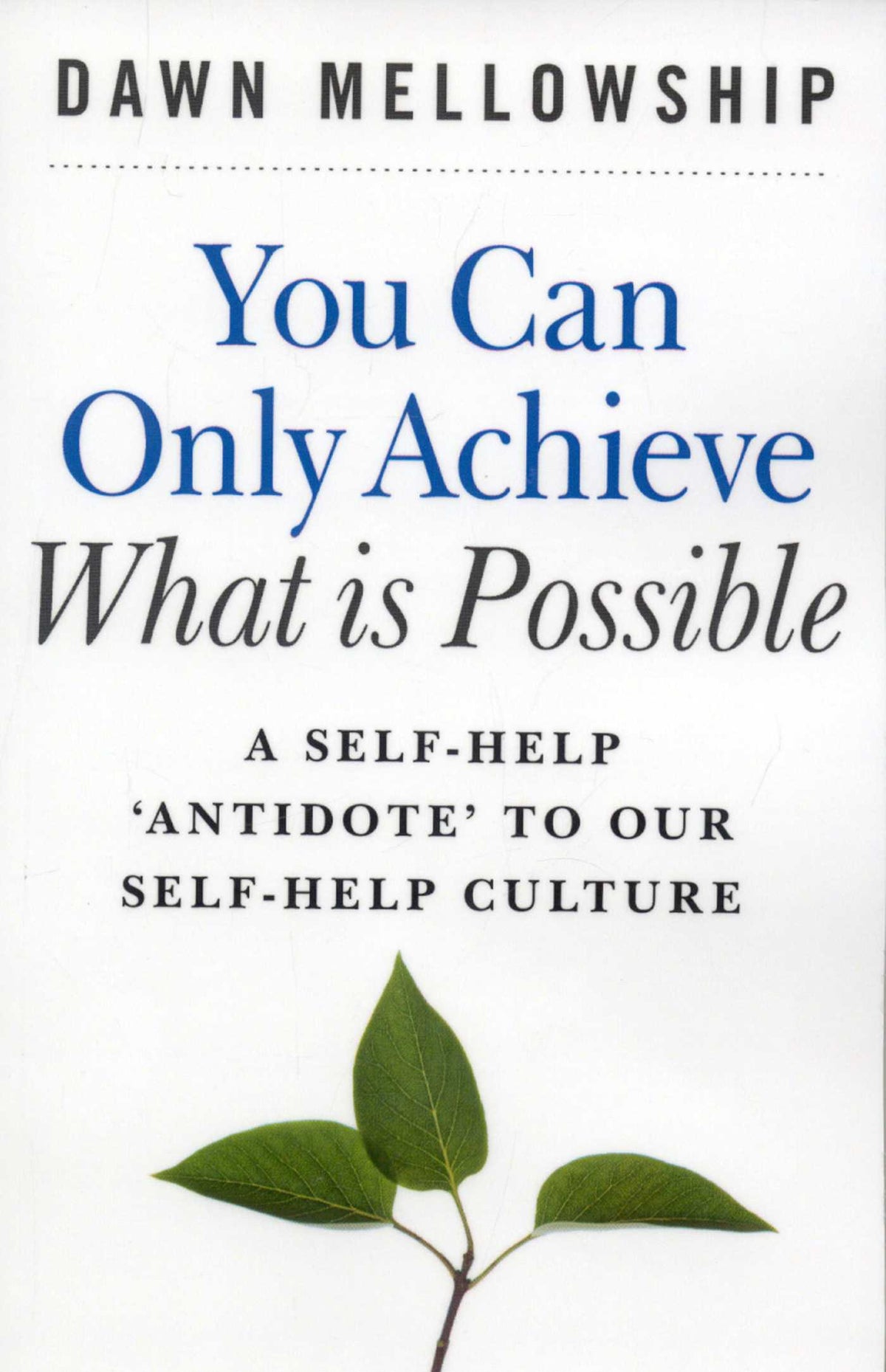 You Can Only Achieve What is Possible