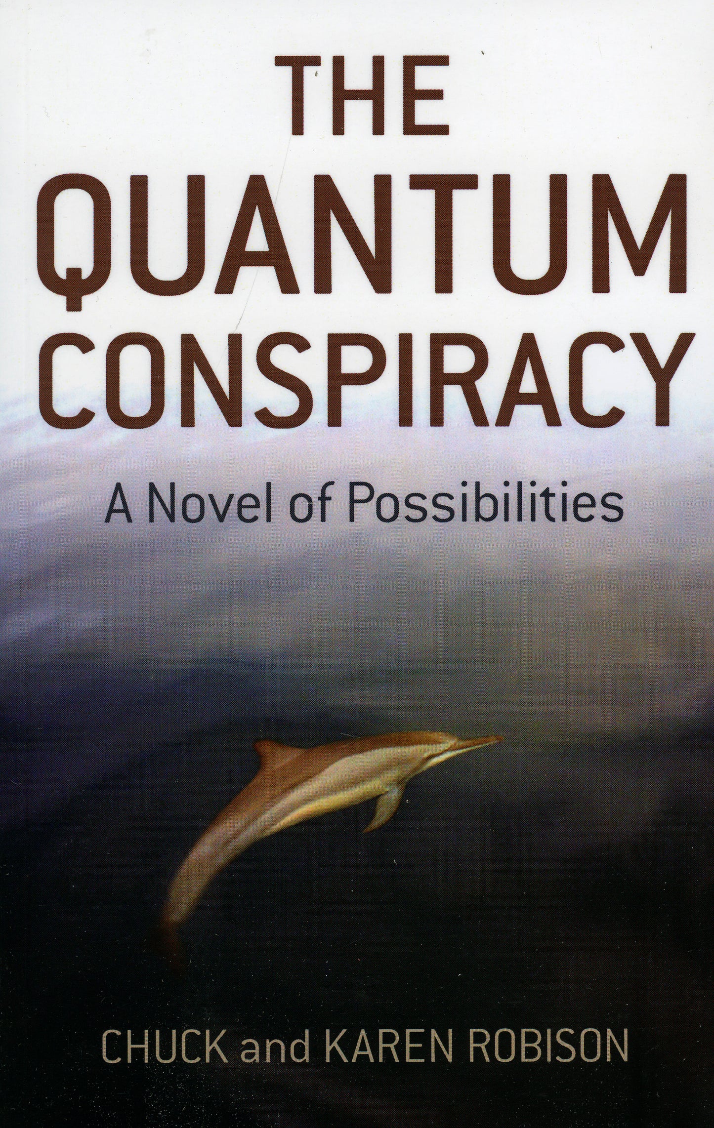 Quantum Conspiracy: A Novel of Possibilities