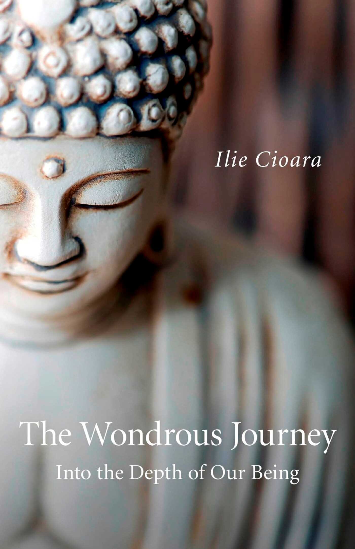 Wondrous Journey: Into the Depth of Our Being
