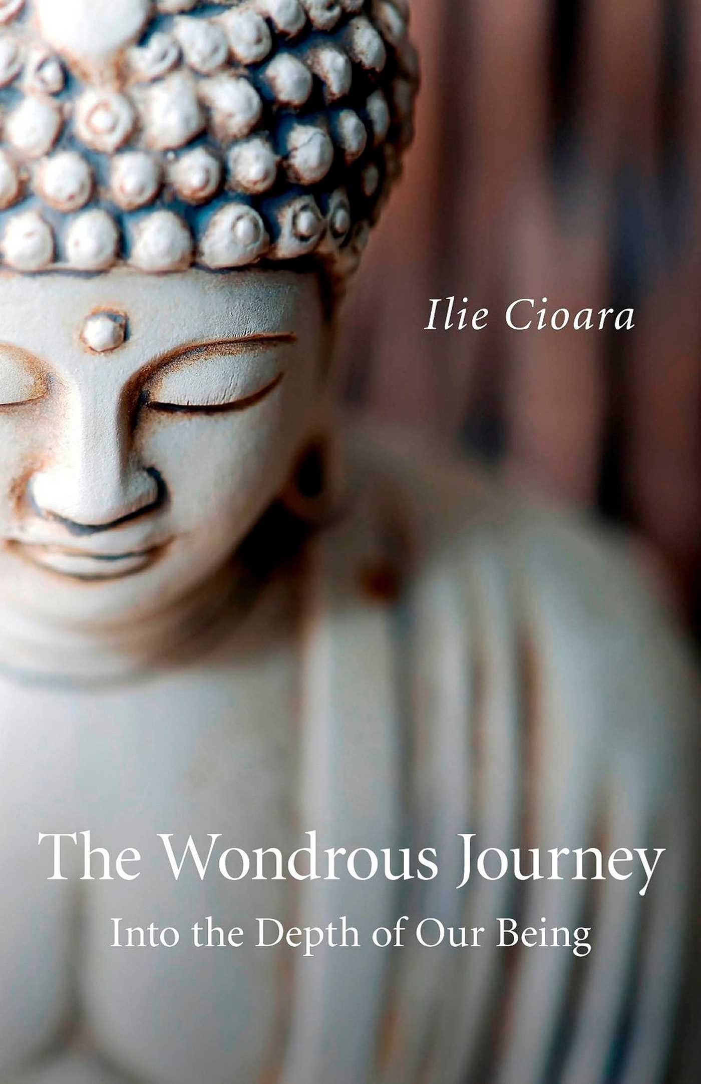 Wondrous Journey