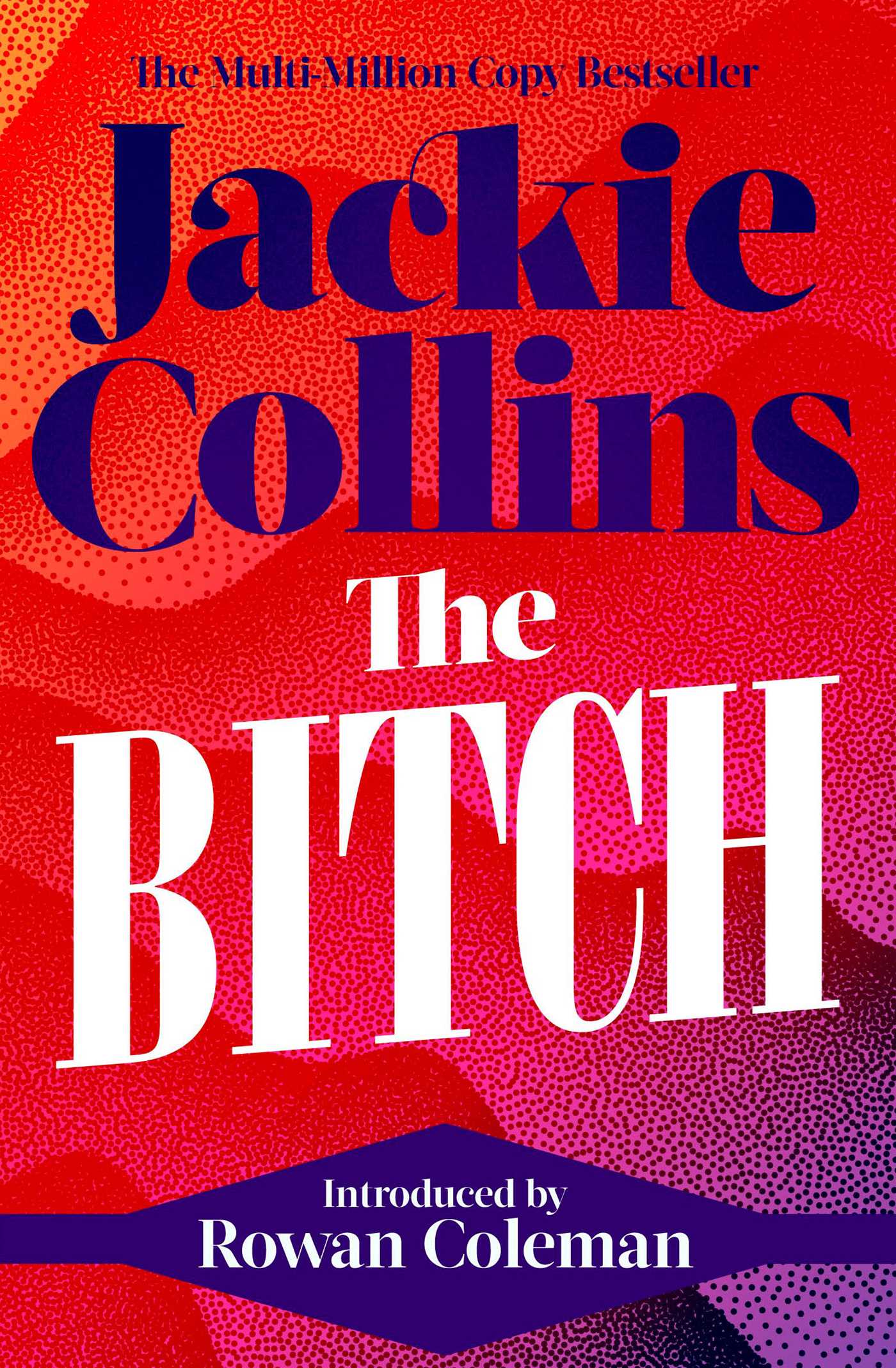 Bitch: introduced by Rowan Coleman