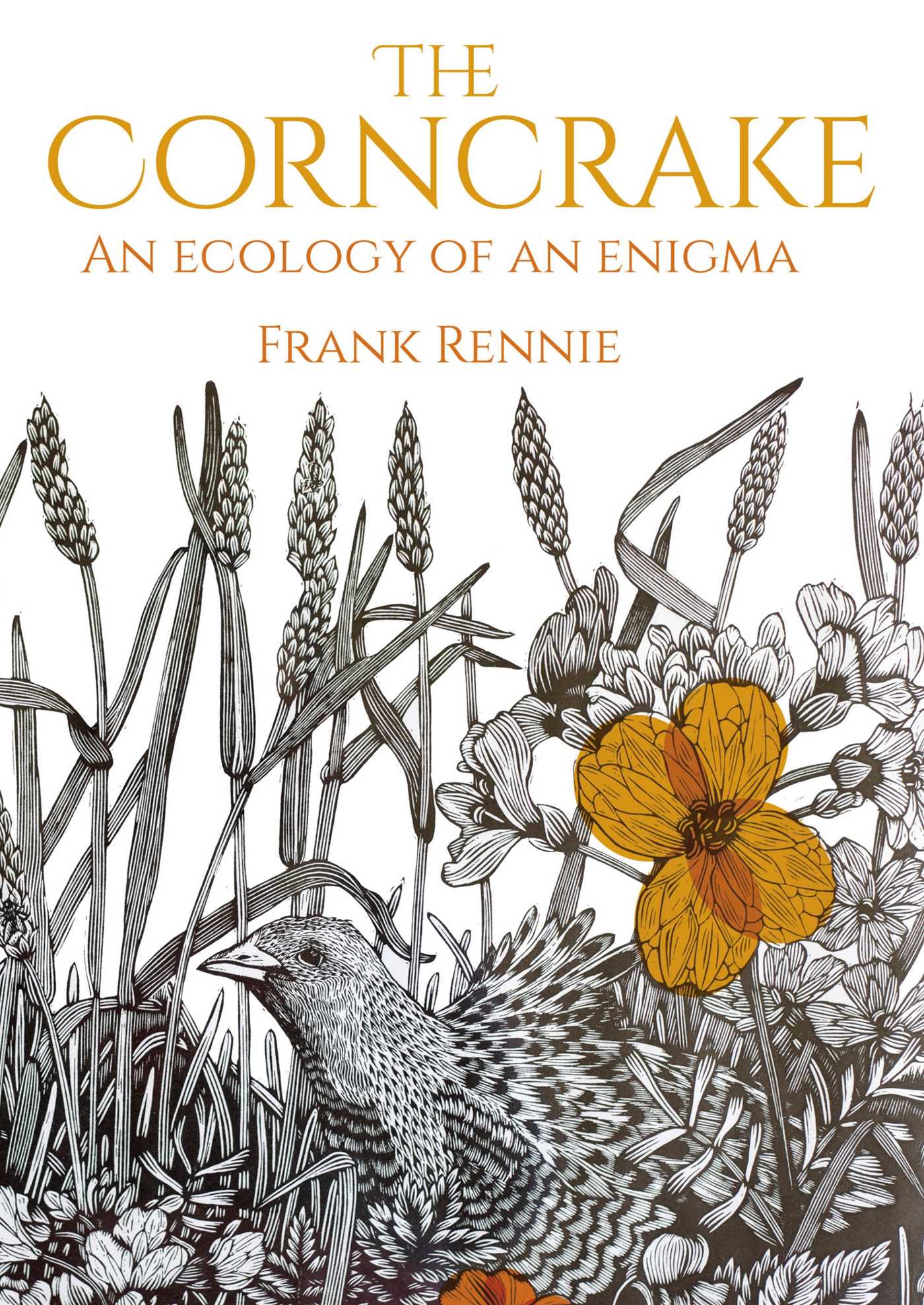 Corncrake: An Ecology of an Enigma