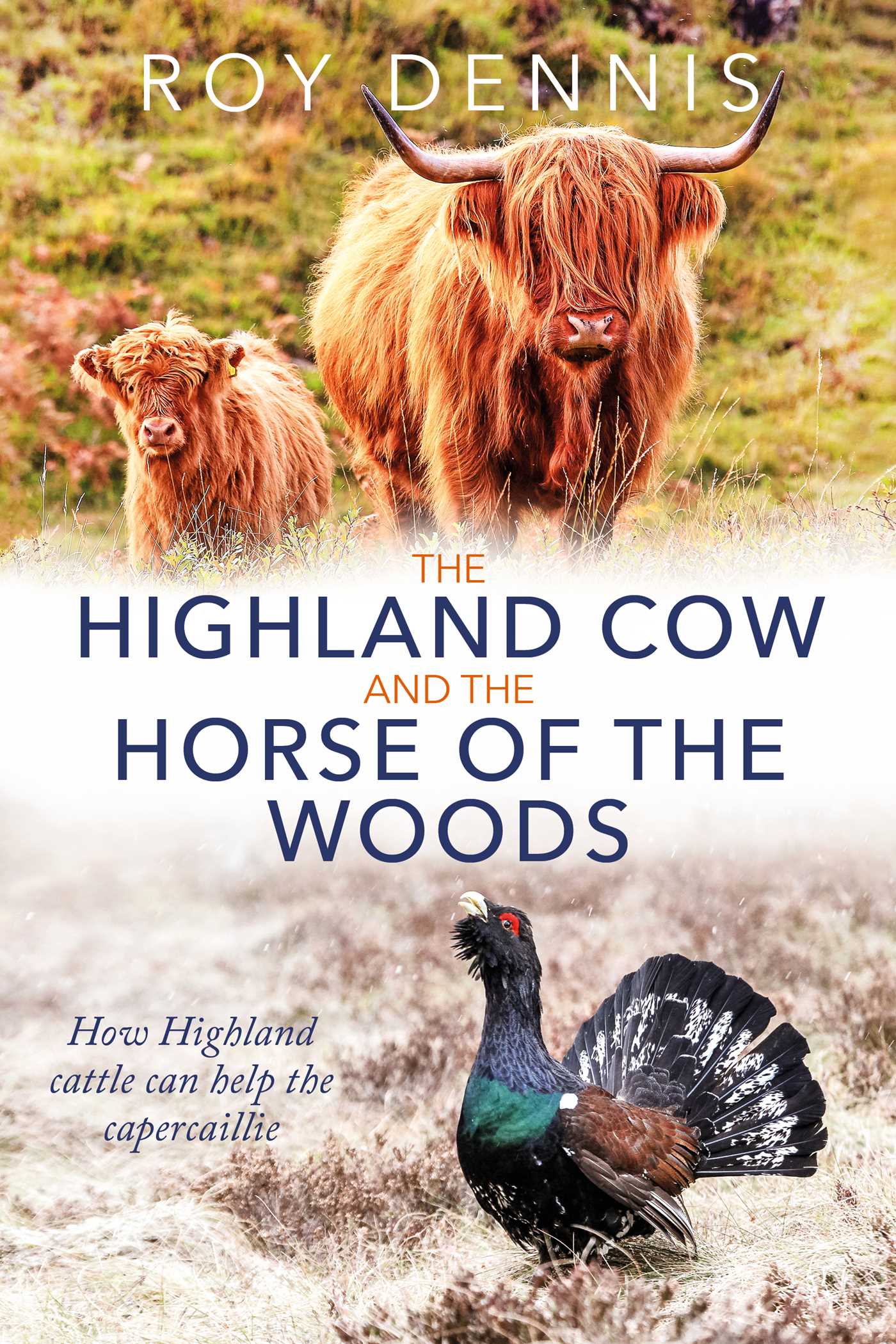 Highland Cow and the Horse of the Woods