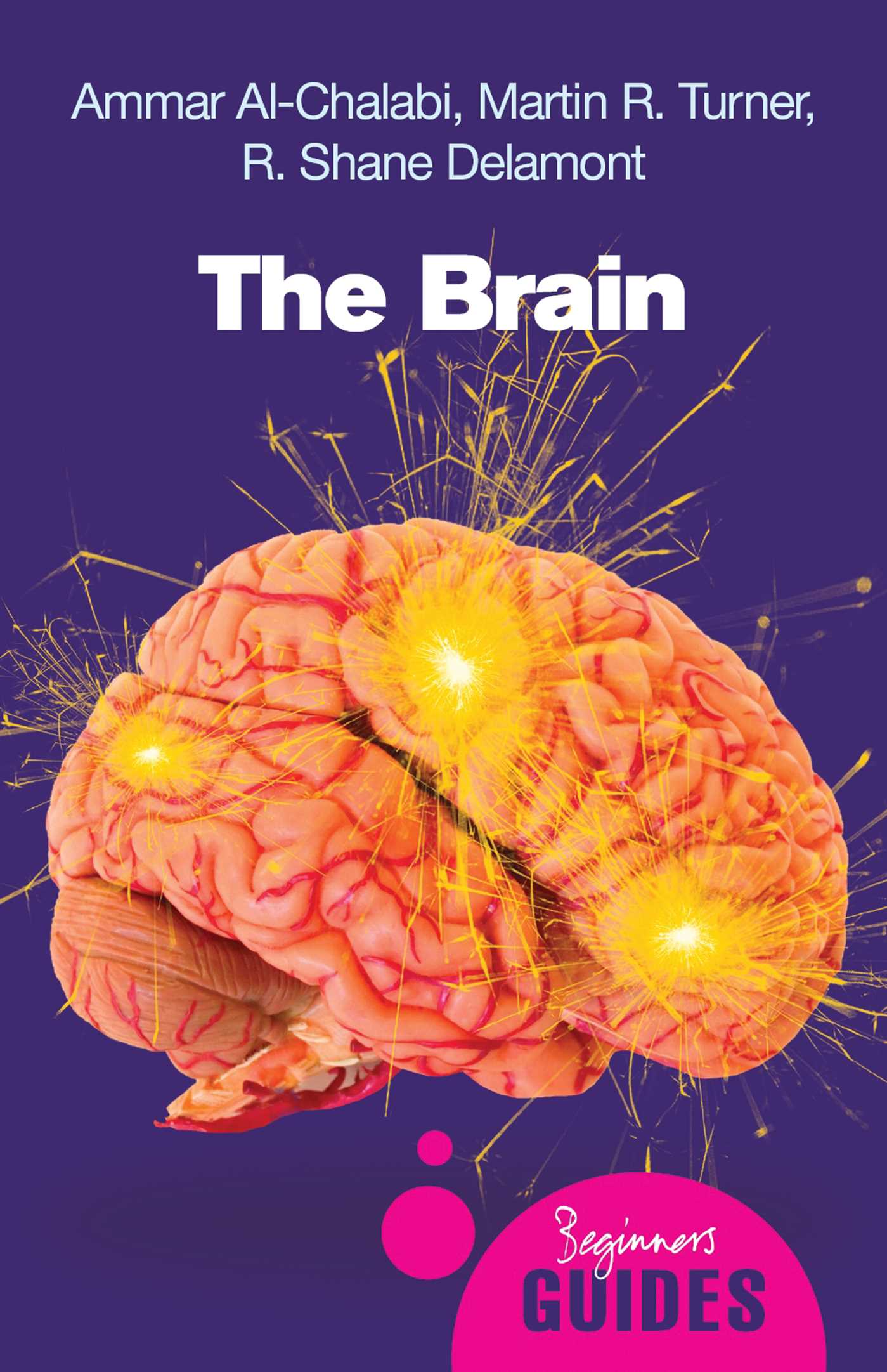 Brain: A Beginner's Guide