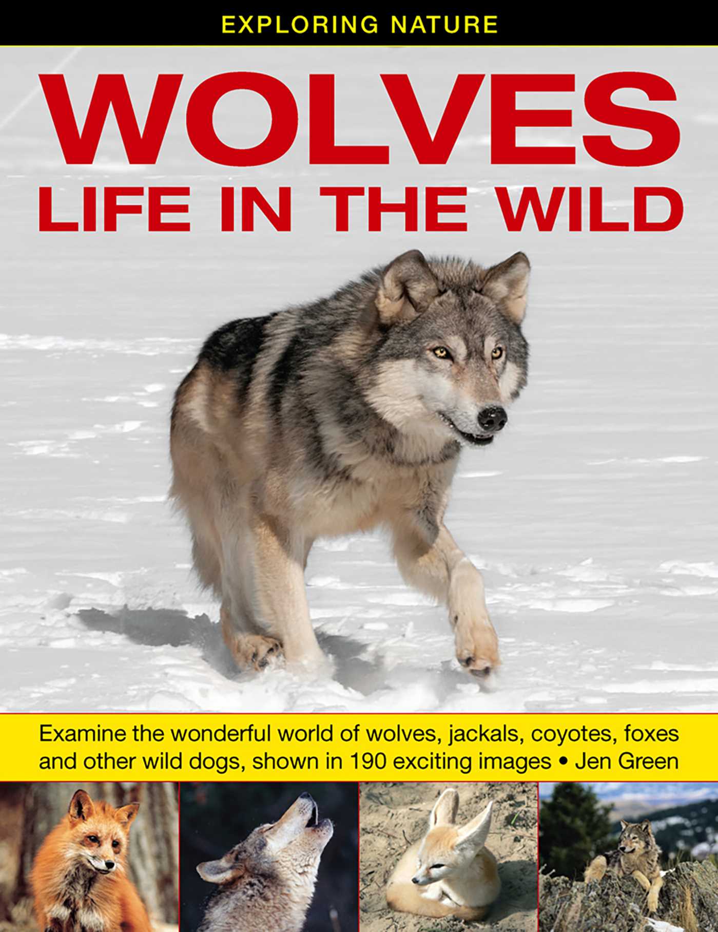 Exploring Nature: Wolves - Life In The Wild