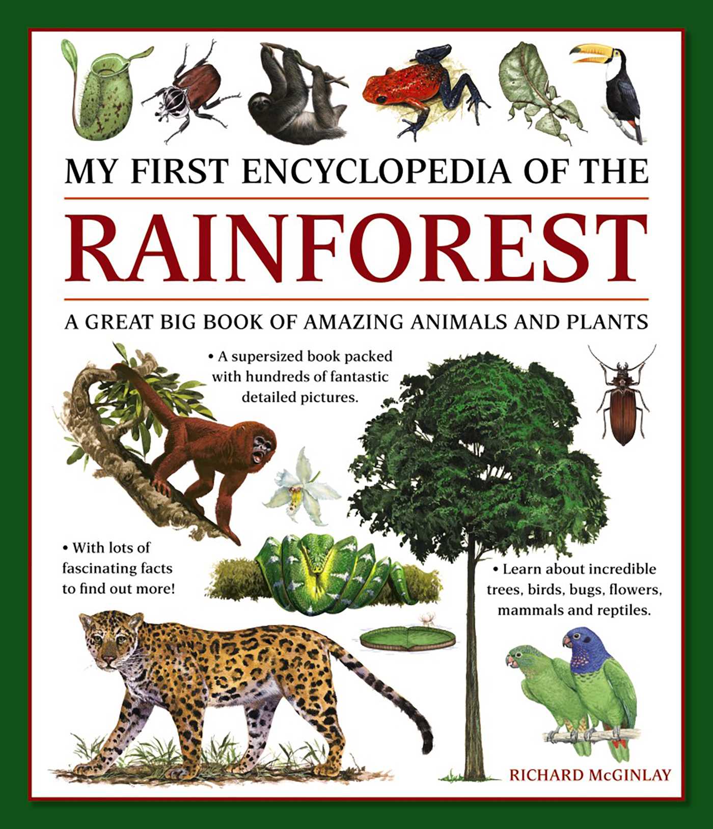 My First Encylopedia of the Rainforest