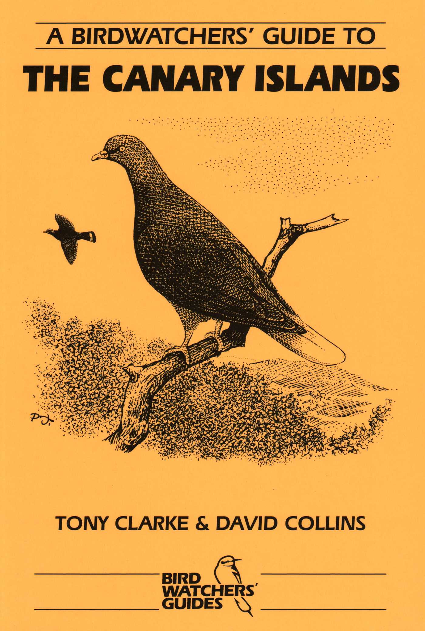 Birdwatchers' Guide to the Canary Islands: Site Guide