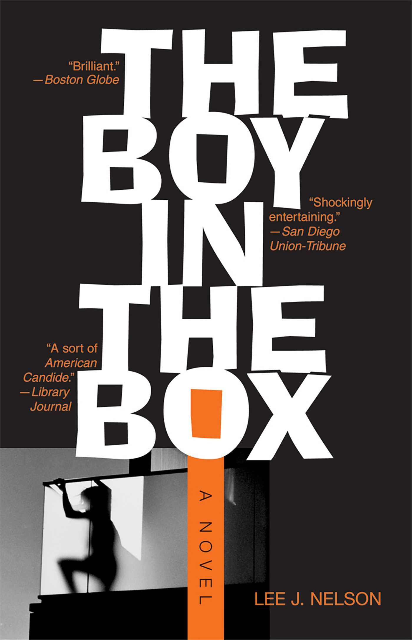Boy in the Box: A Novel