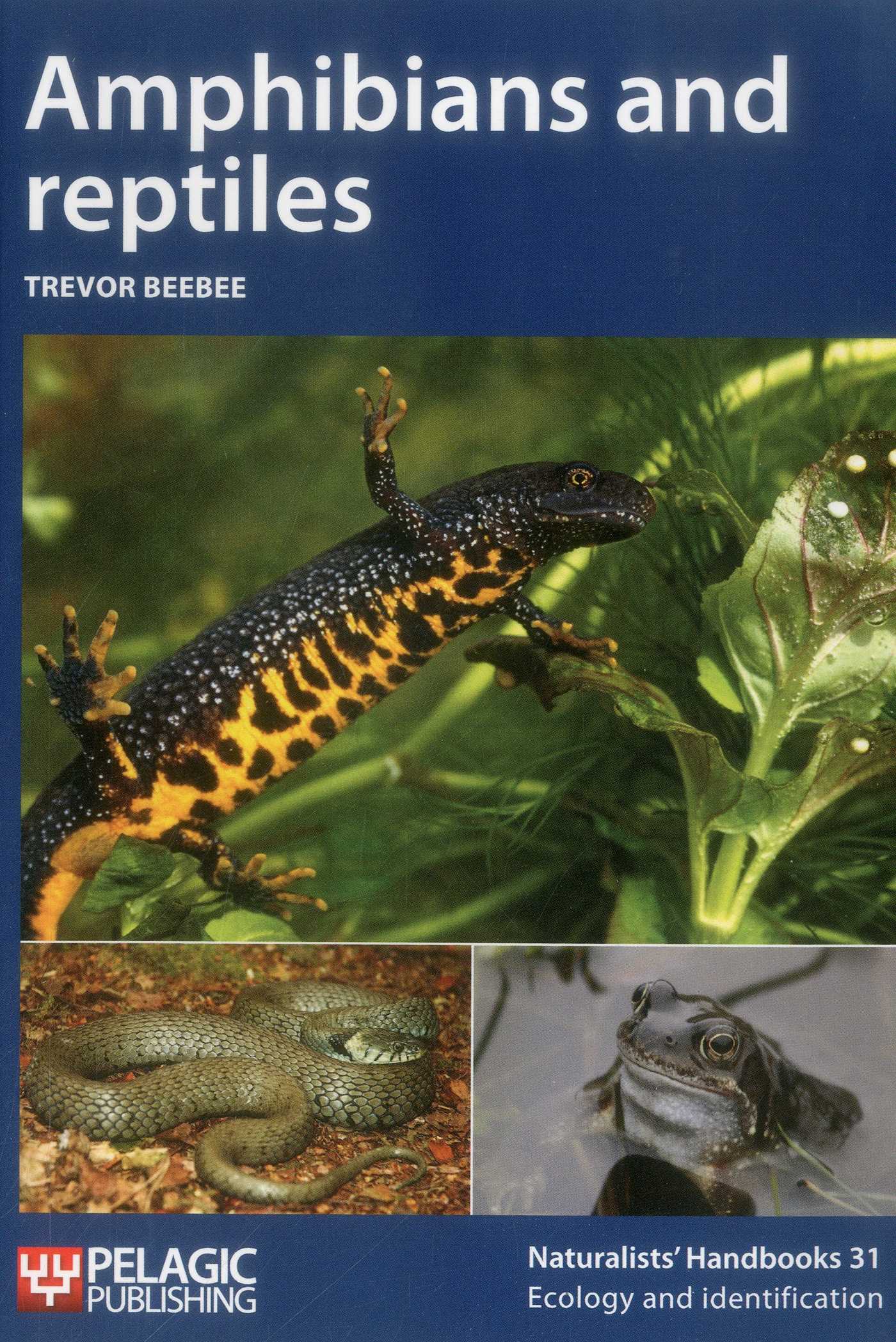 Amphibians and Reptiles
