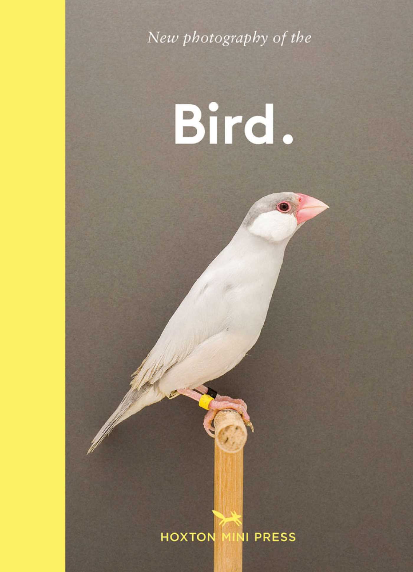 New photography of the Bird.