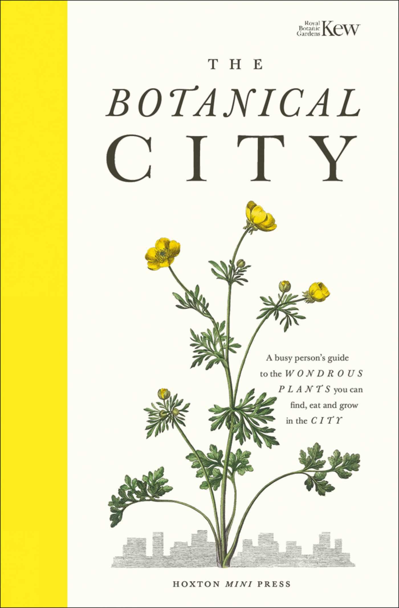 Botanical City: A busy person's guide to the wondrous plants to find, eat and grow in the city