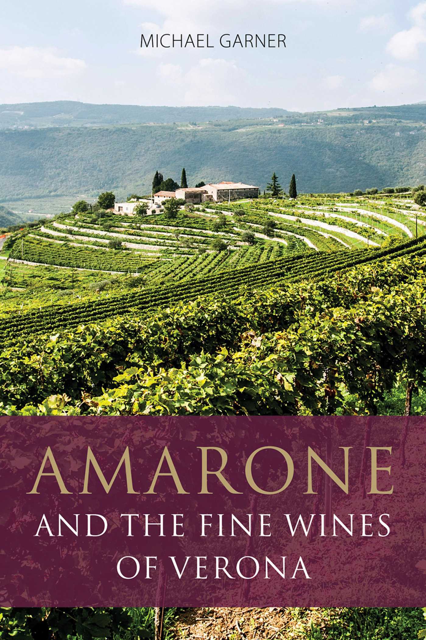 Amarone and the Fine Wines of Verona