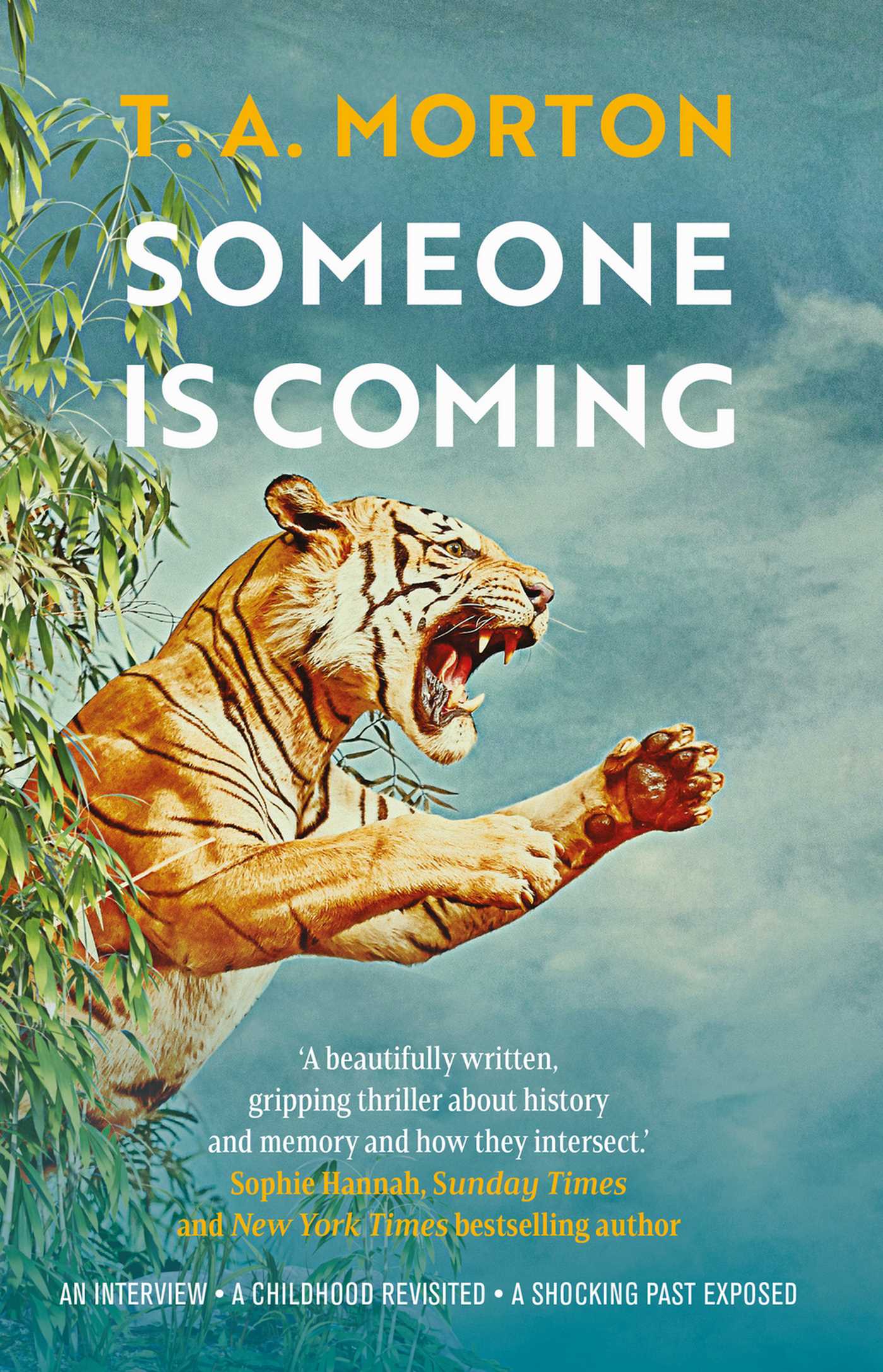 Someone is Coming