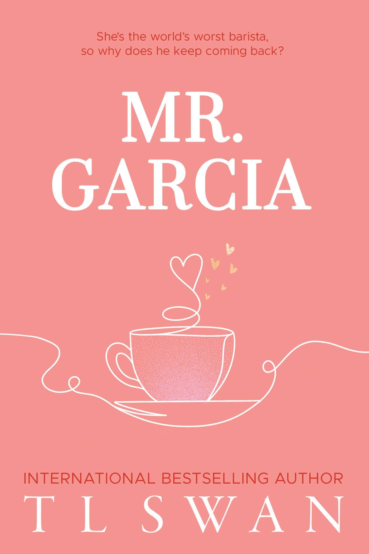 Mr. Garcia (Mr. Series Book 3)