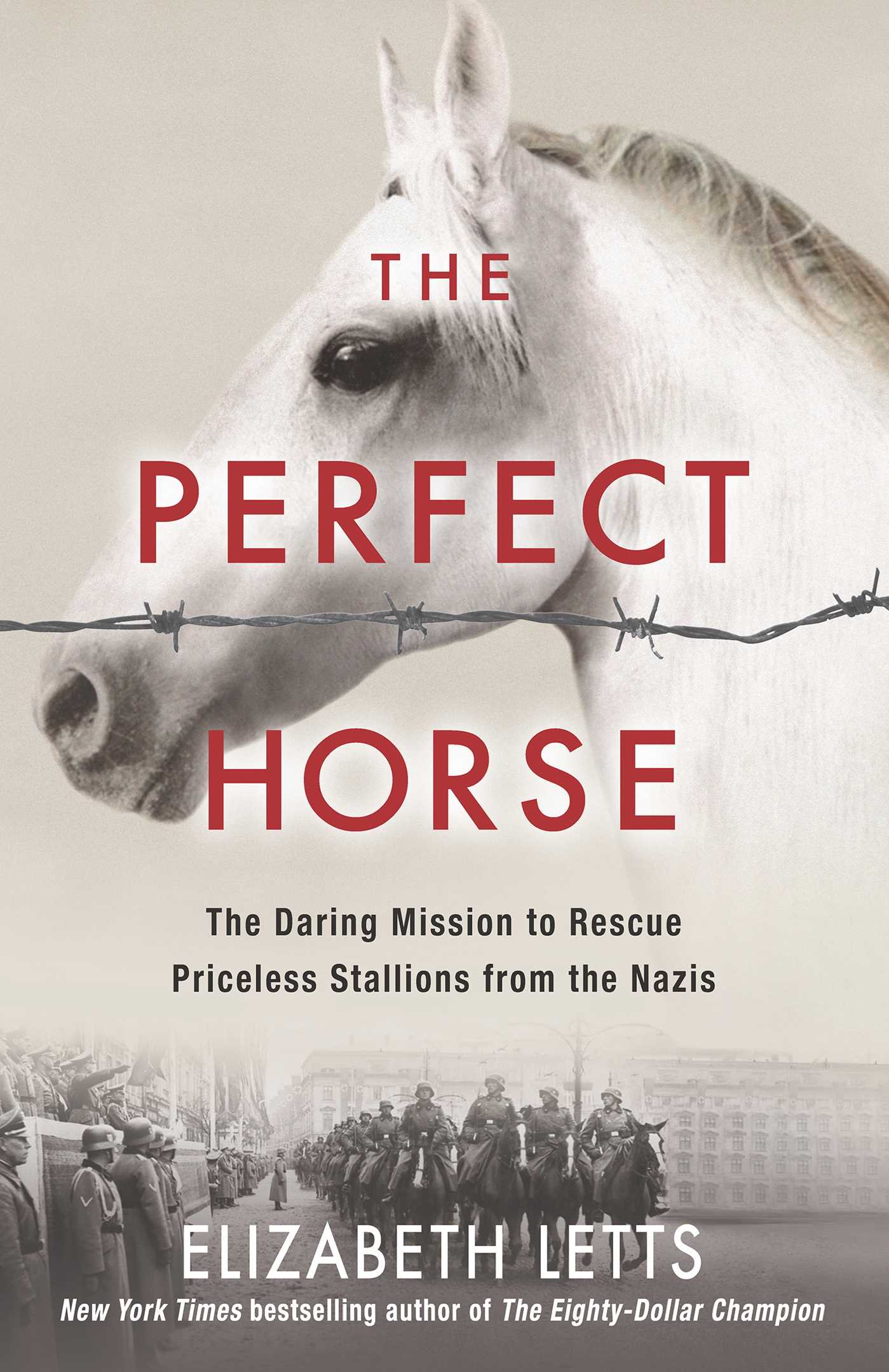 Perfect Horse