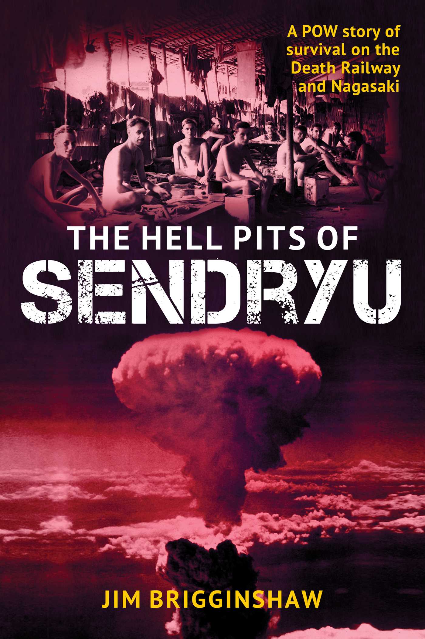 Hell Pit of Sendryu: A POW story of survival on the Death Railway and Nagasaki