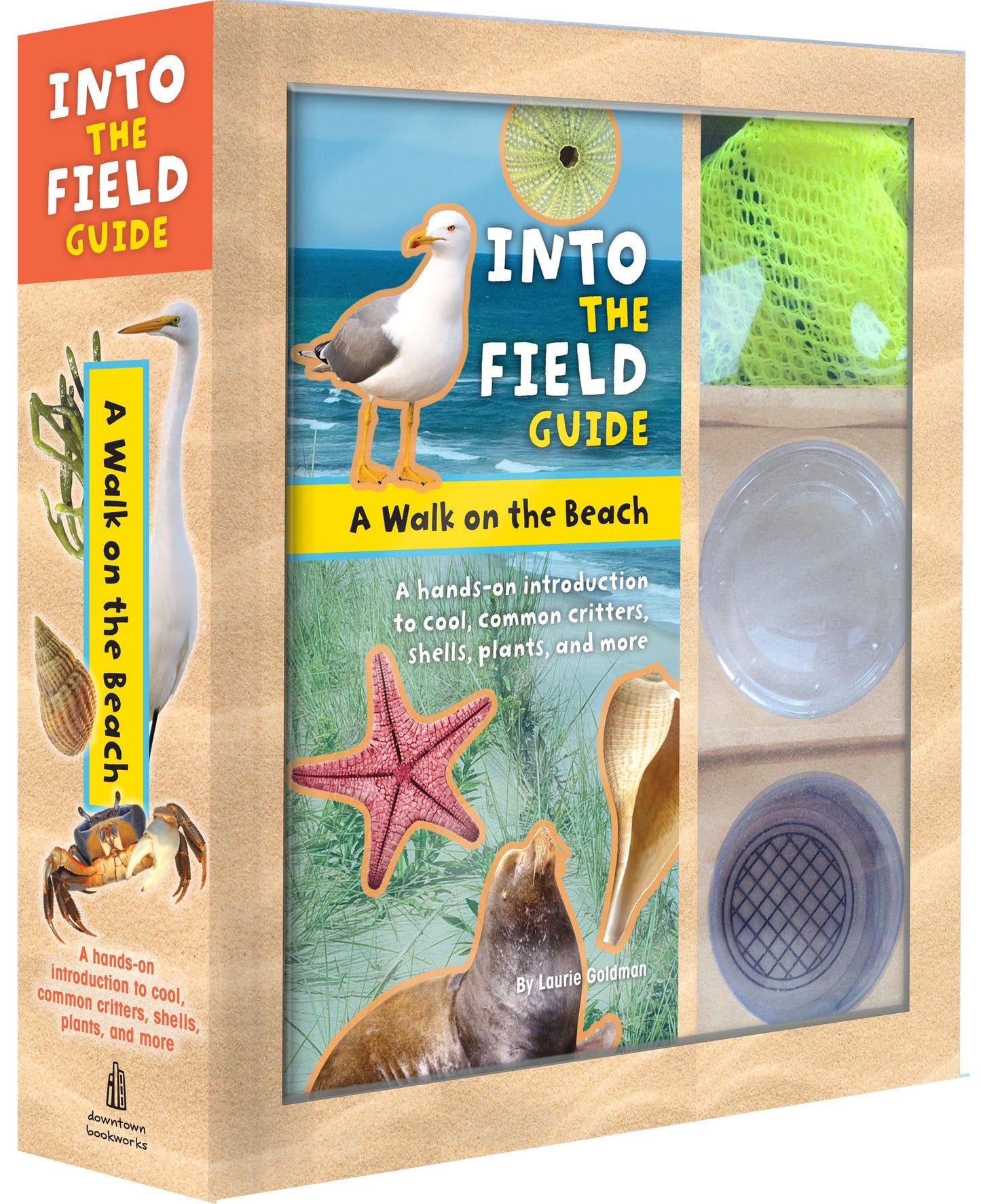 Walk on the Beach: Into the Field Guide