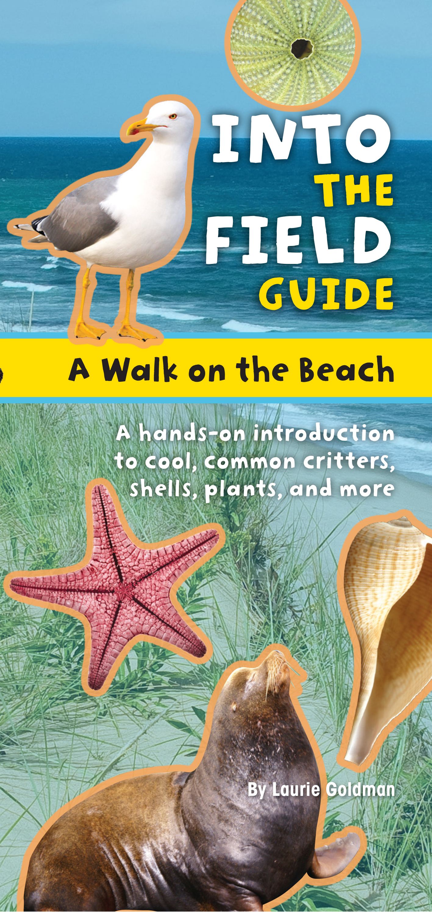 Walk on the Beach: Into the Field Guide