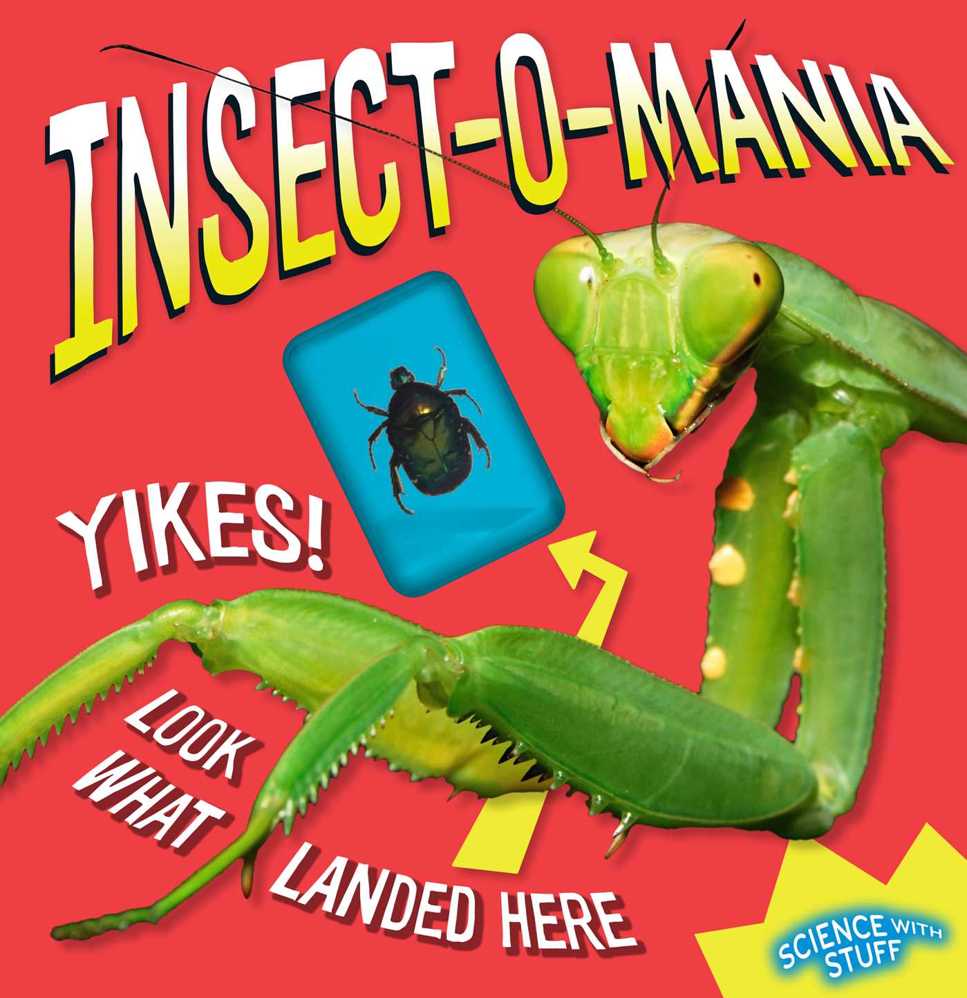 Insect-o-mania!
