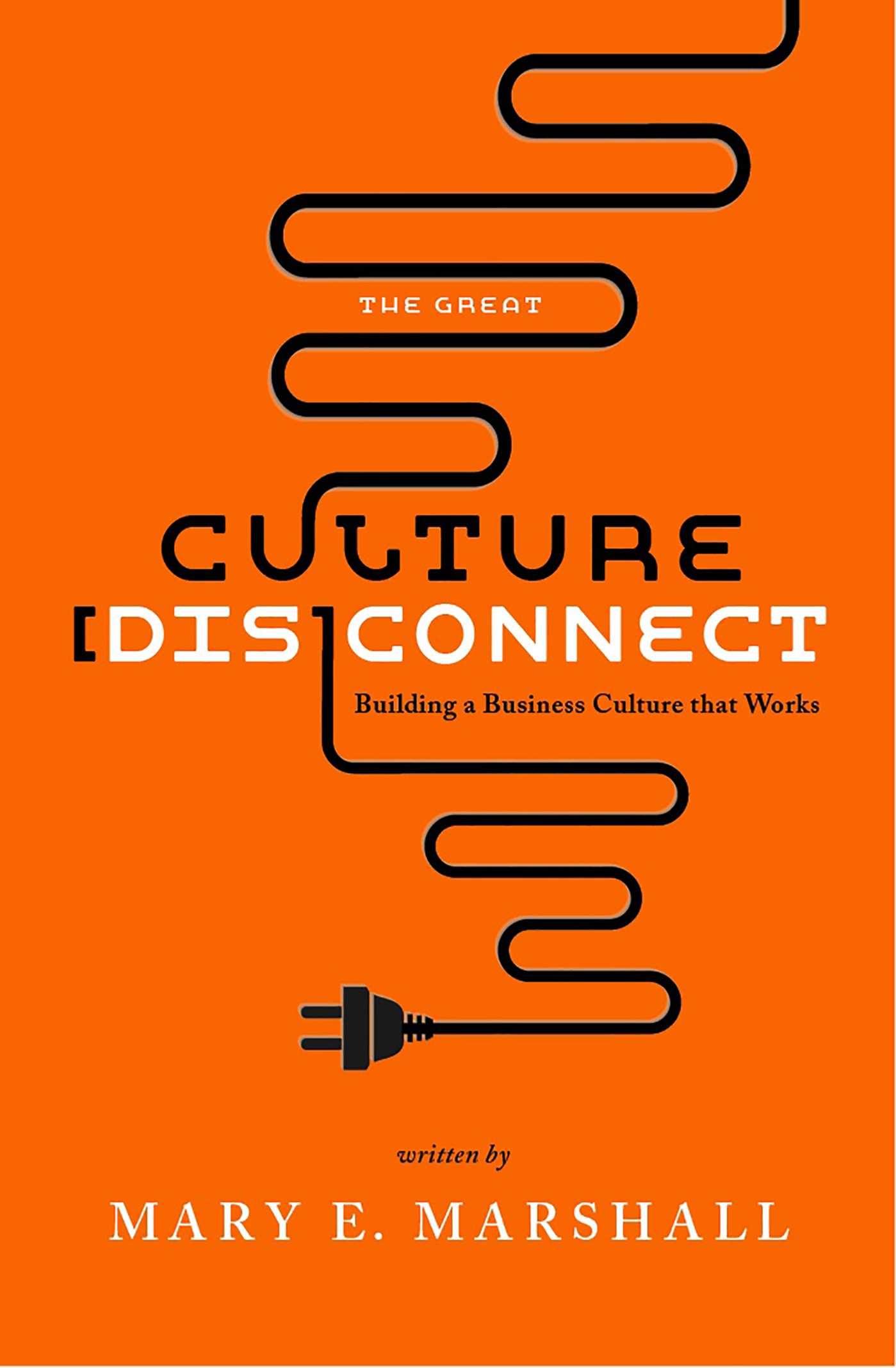 Great Culture [Dis]Connect: Building a Business Culture That Works