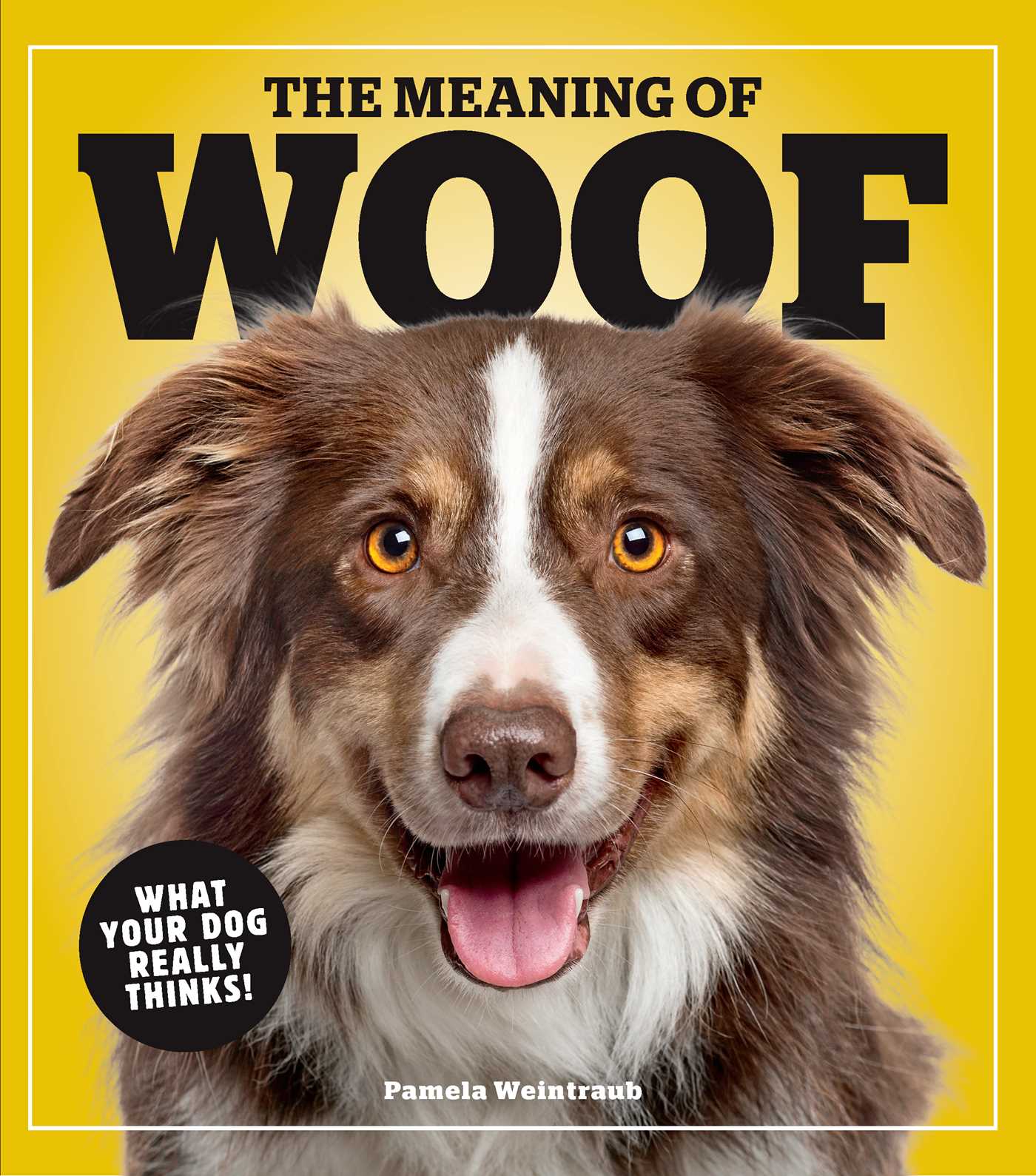 Meaning of Woof: What Your Dog Really Thinks!
