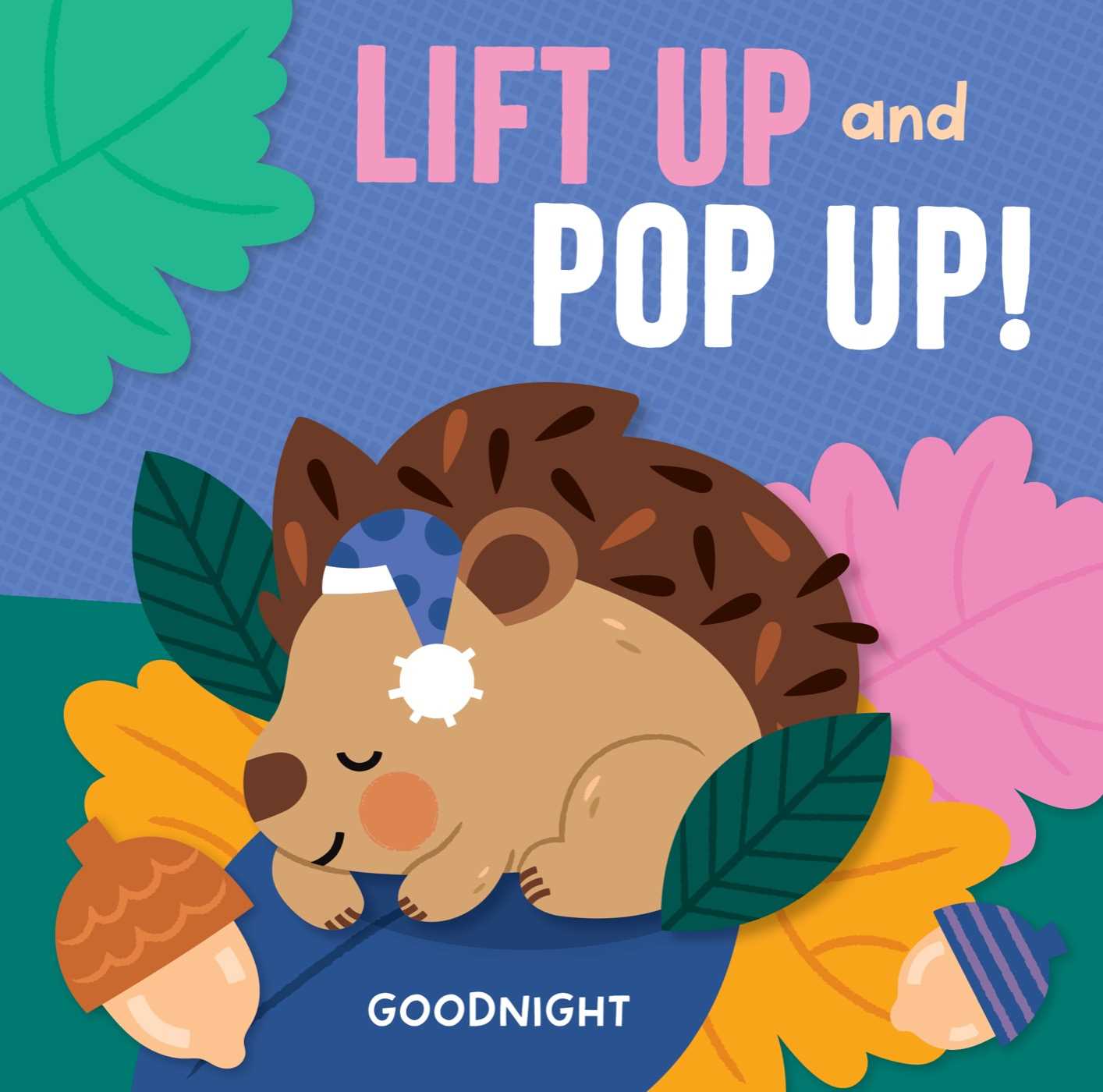 Lift Up and Pop Up - Goodnight