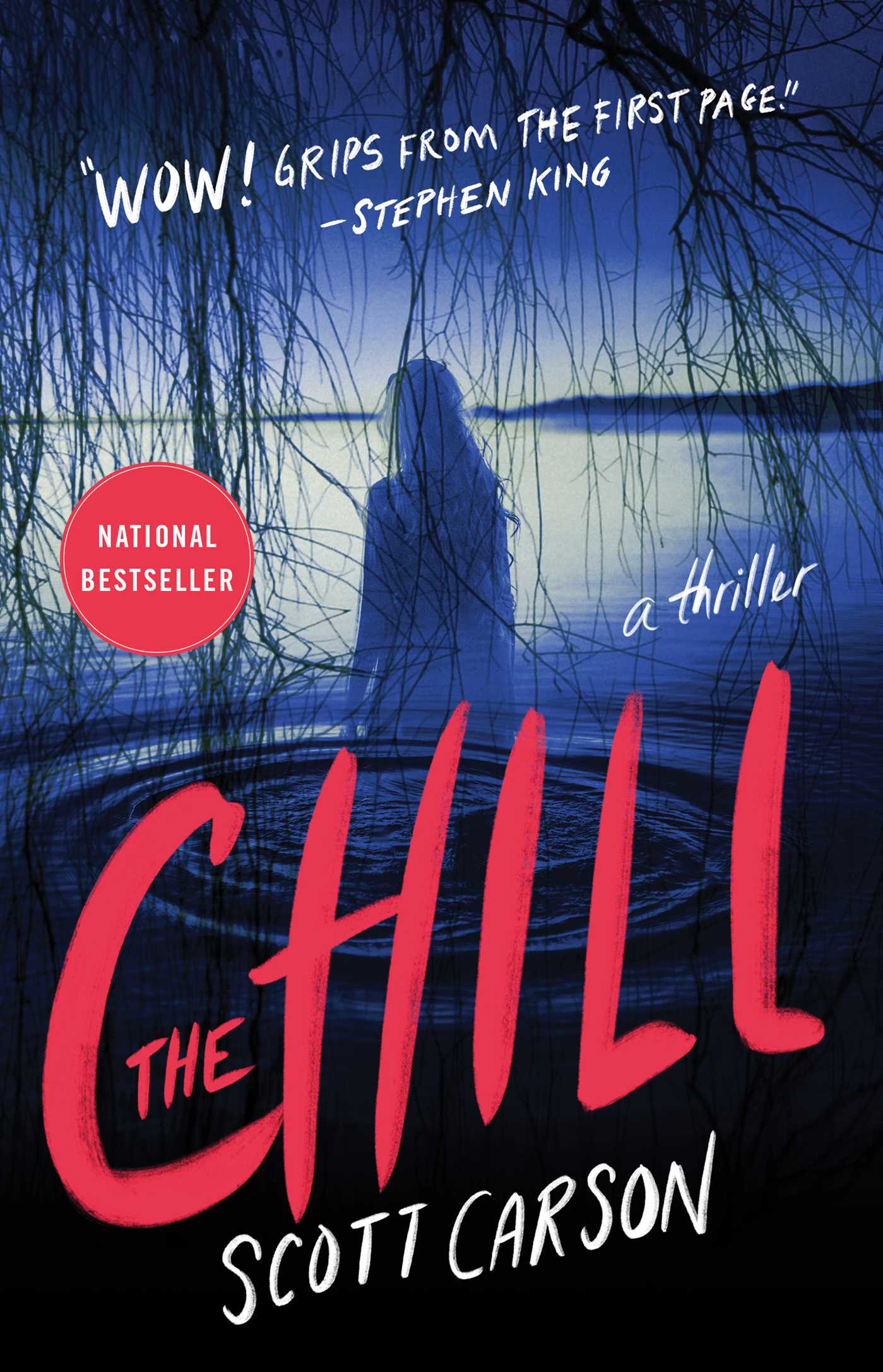 Chill: A Novel