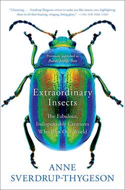 Extraordinary Insects