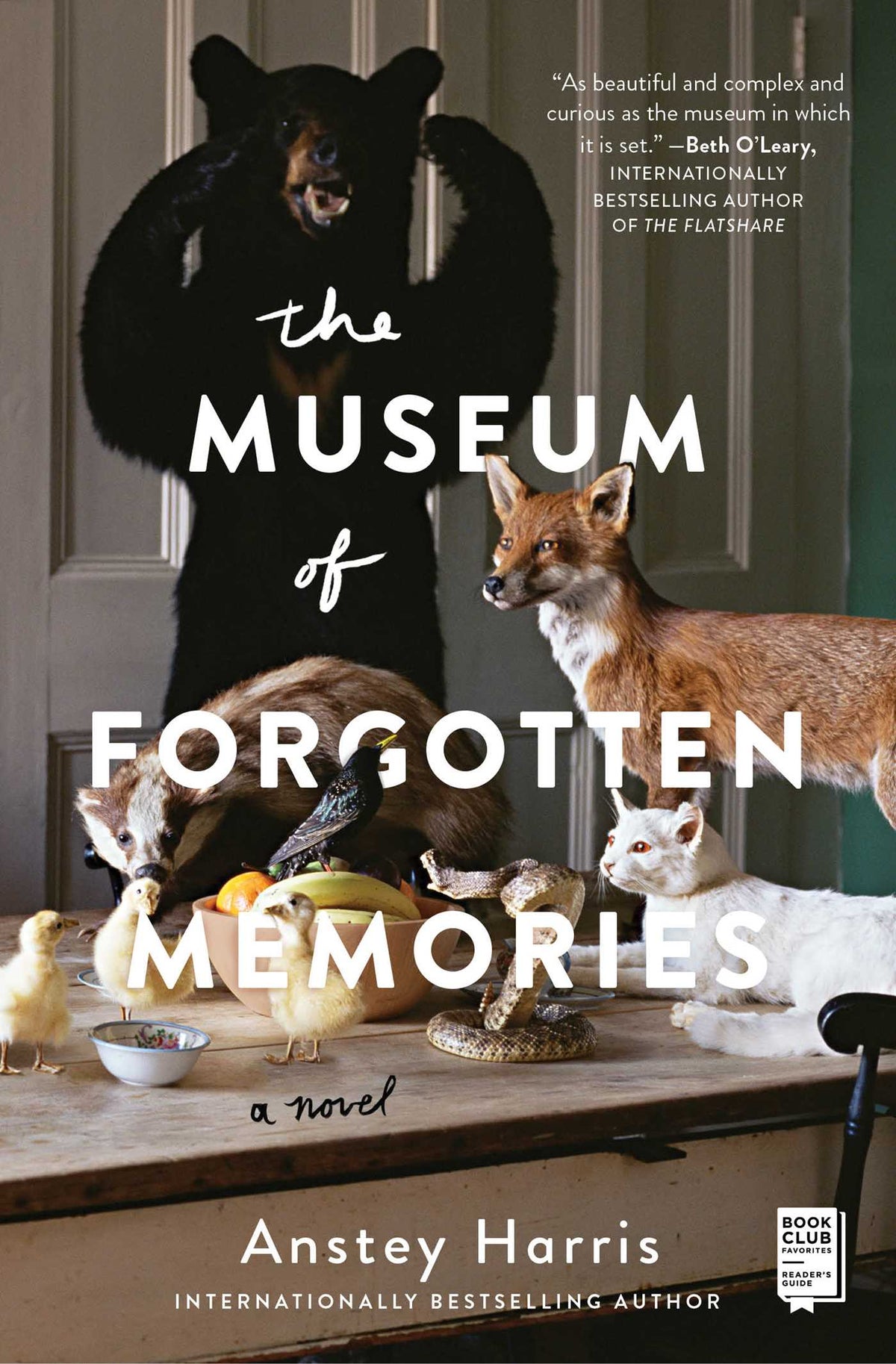 Museum of Forgotten Memories: A Novel