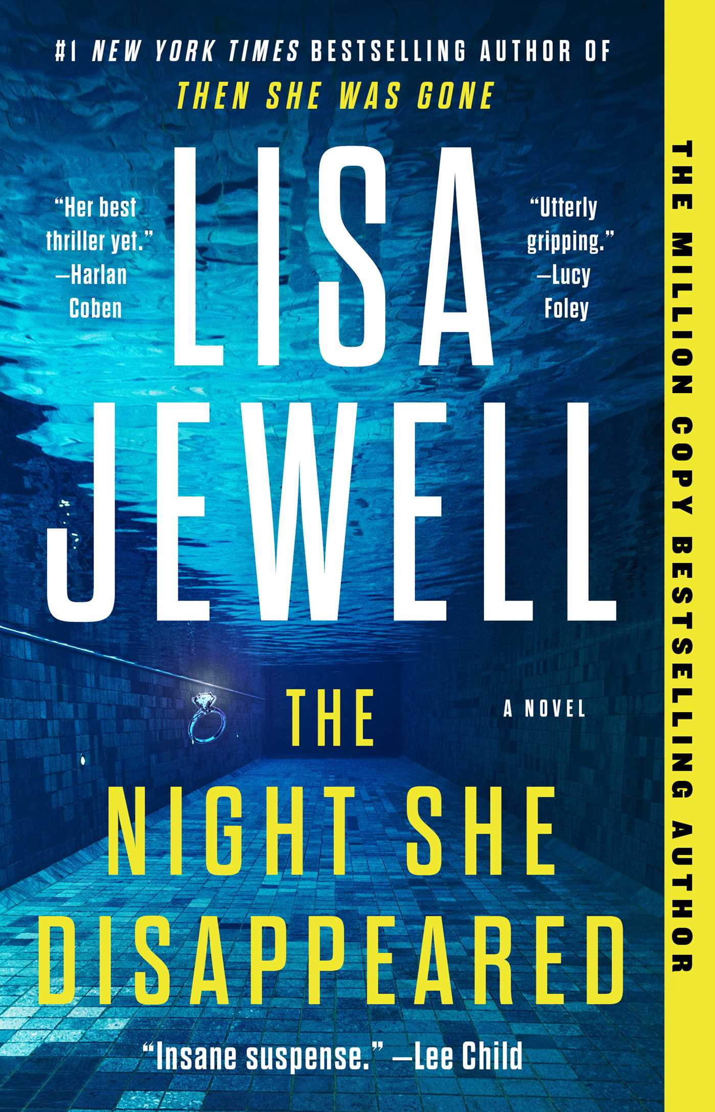 Night She Disappeared: A Novel