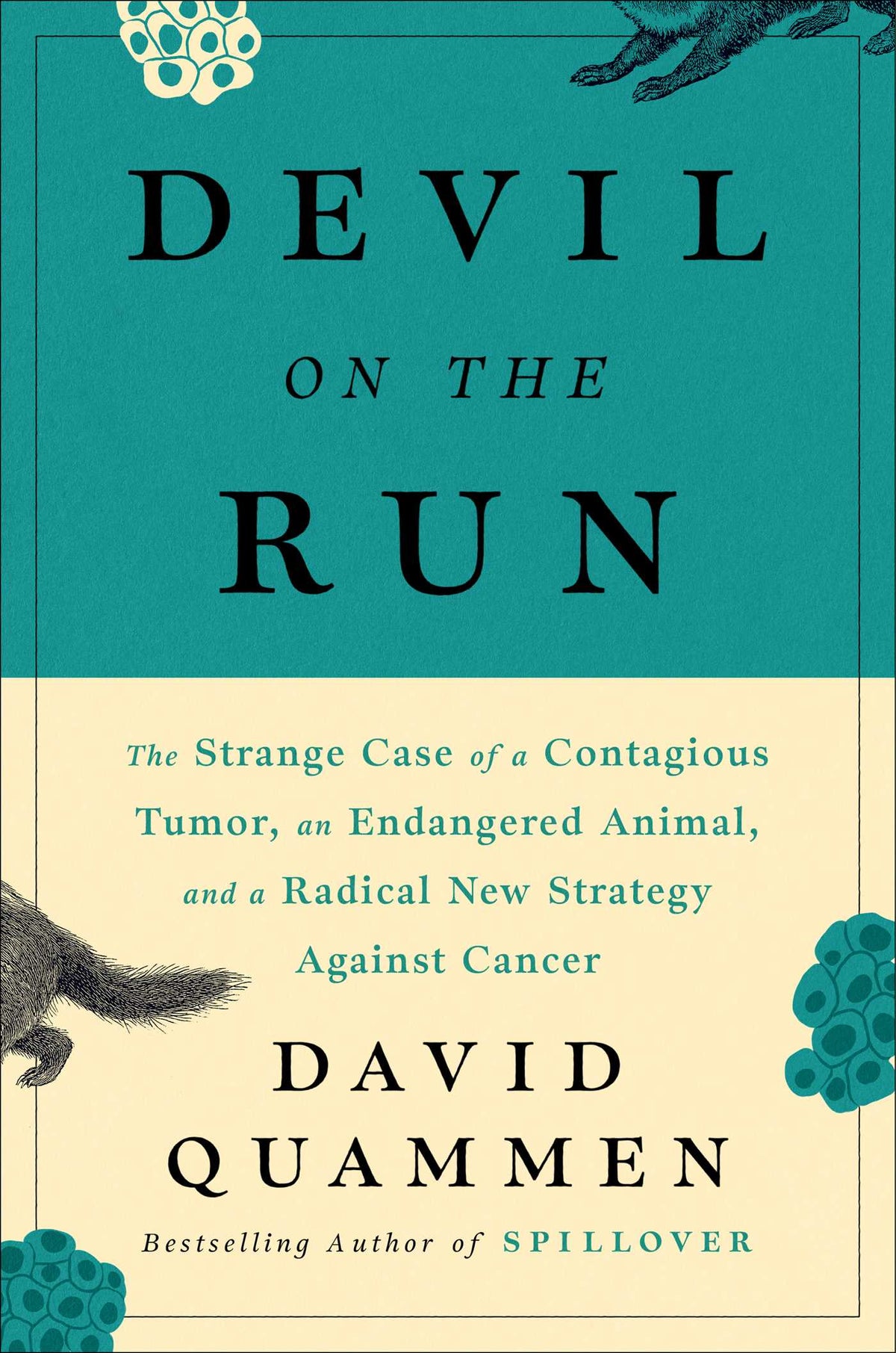 Devil On The Run