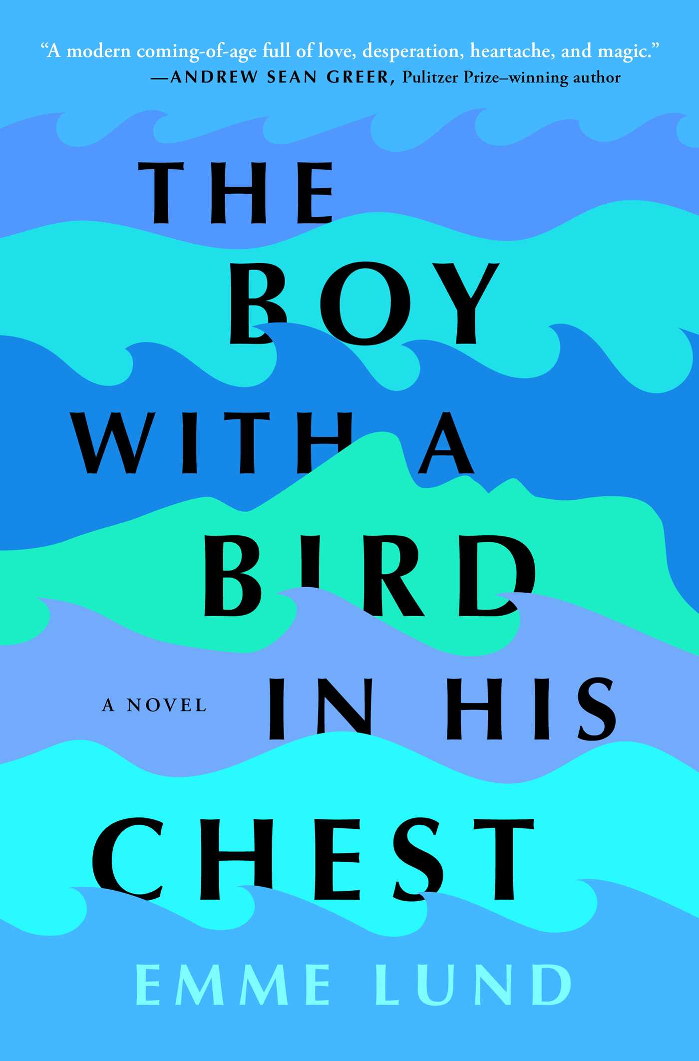 Boy with a Bird in His Chest: A Novel