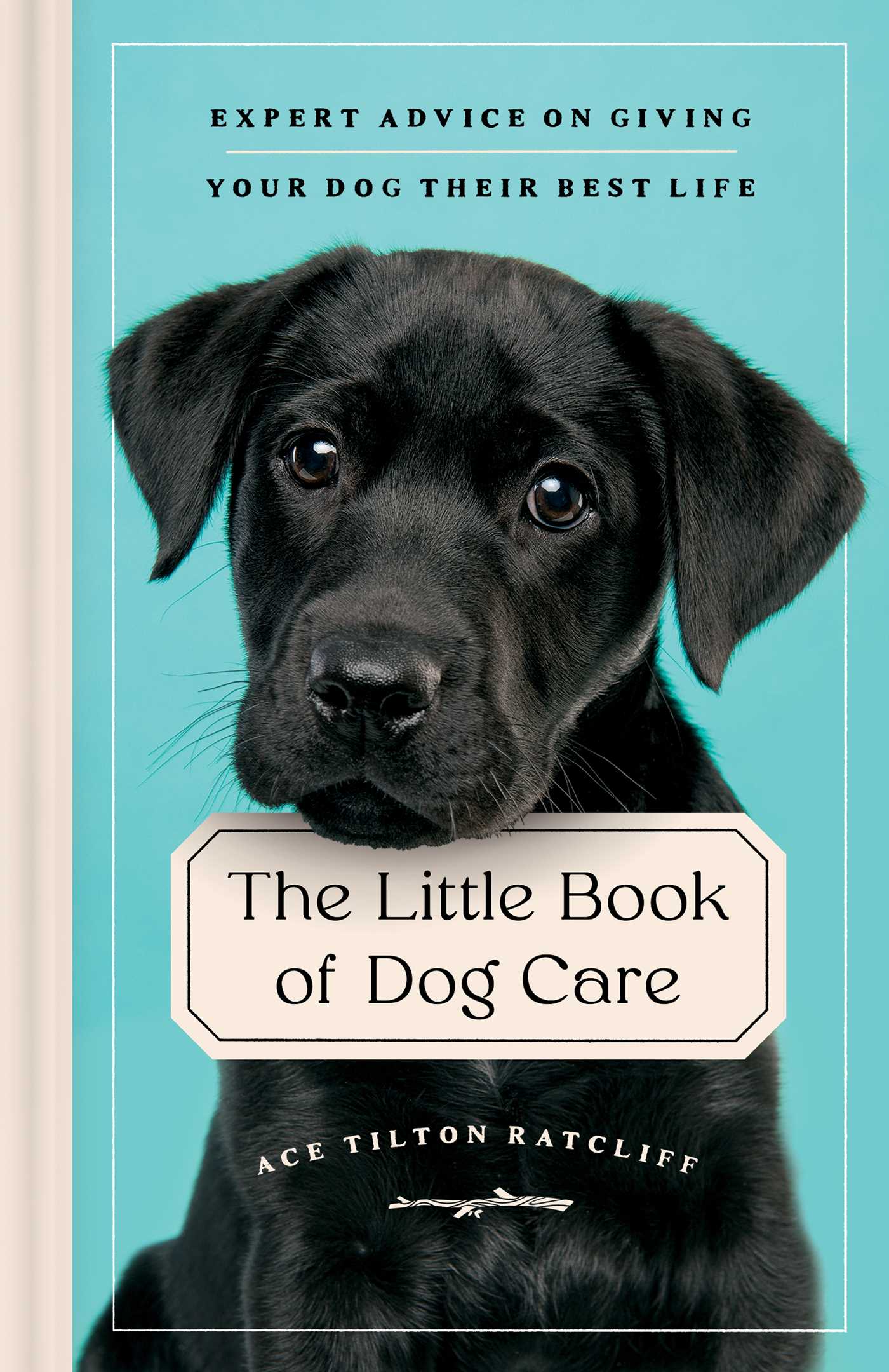 Little Book of Dog Care: Expert Advice on Giving Your Dog Their Best Life
