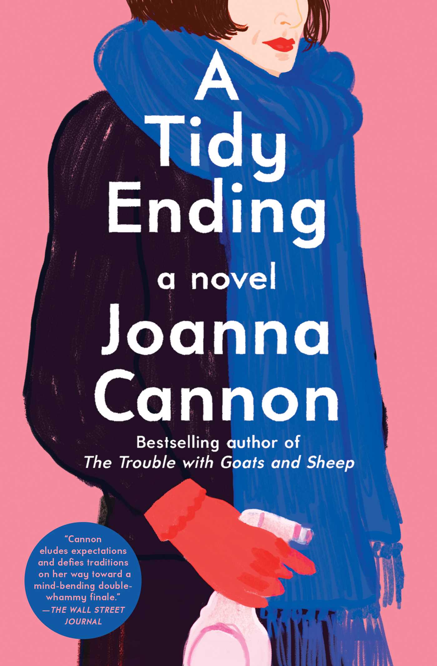 Tidy Ending: A Novel