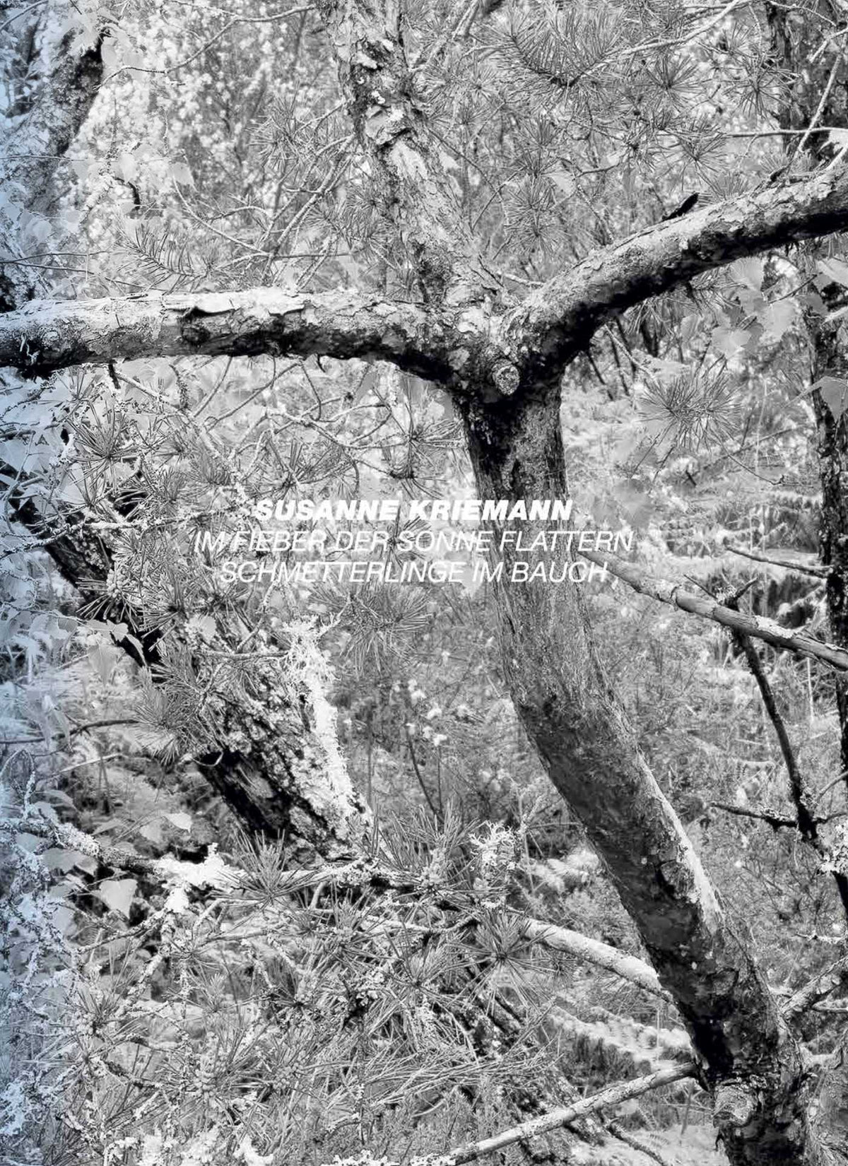 After Nature - Susanne Kriemann