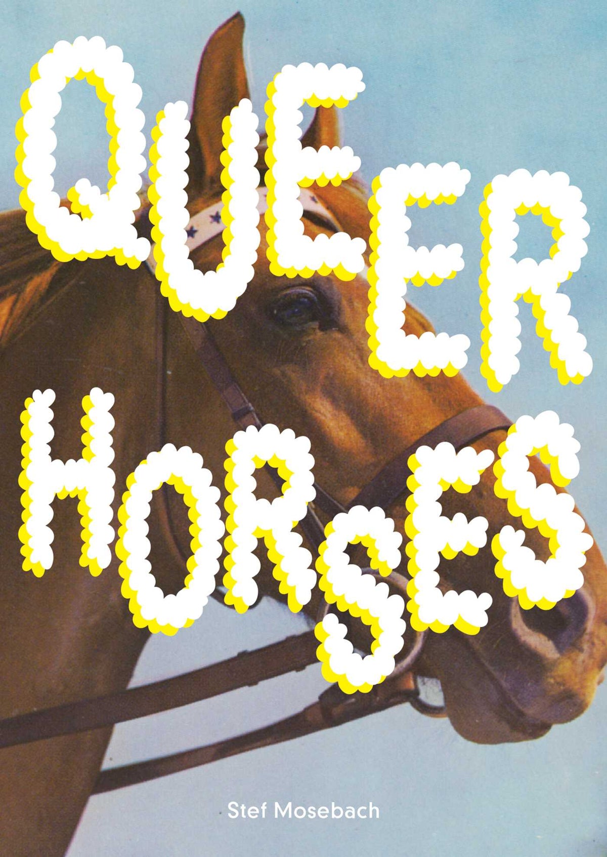 Queer Horses