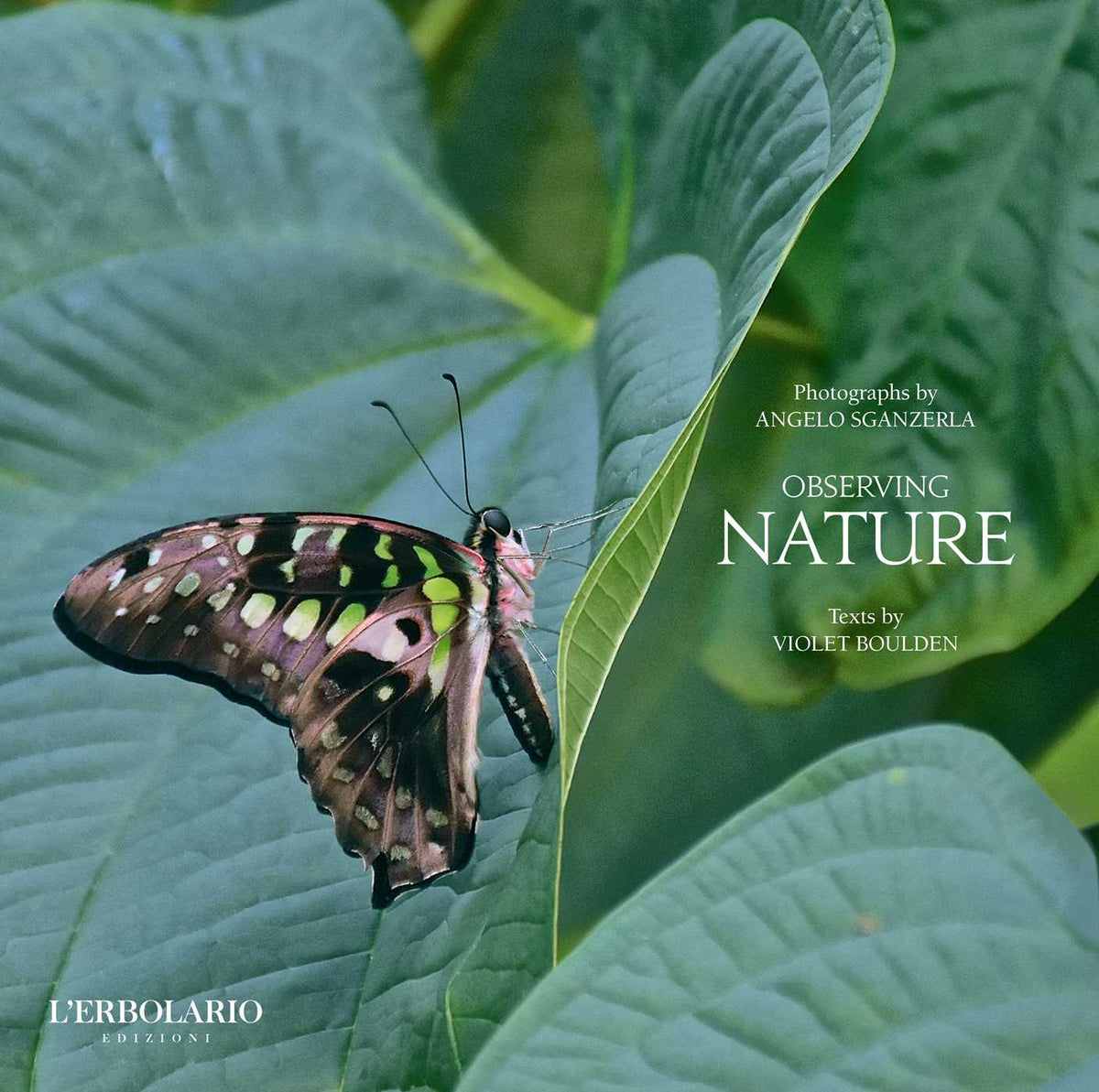 Observing Nature