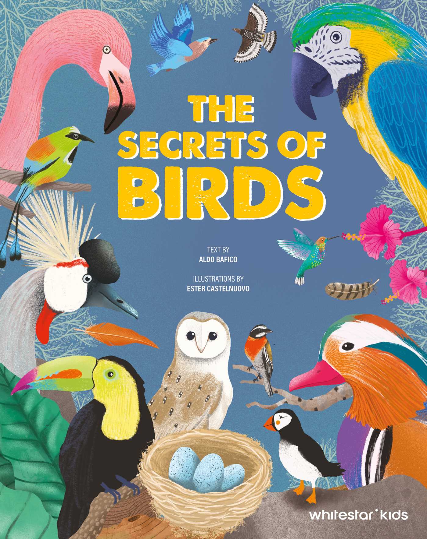 The World of Birds
