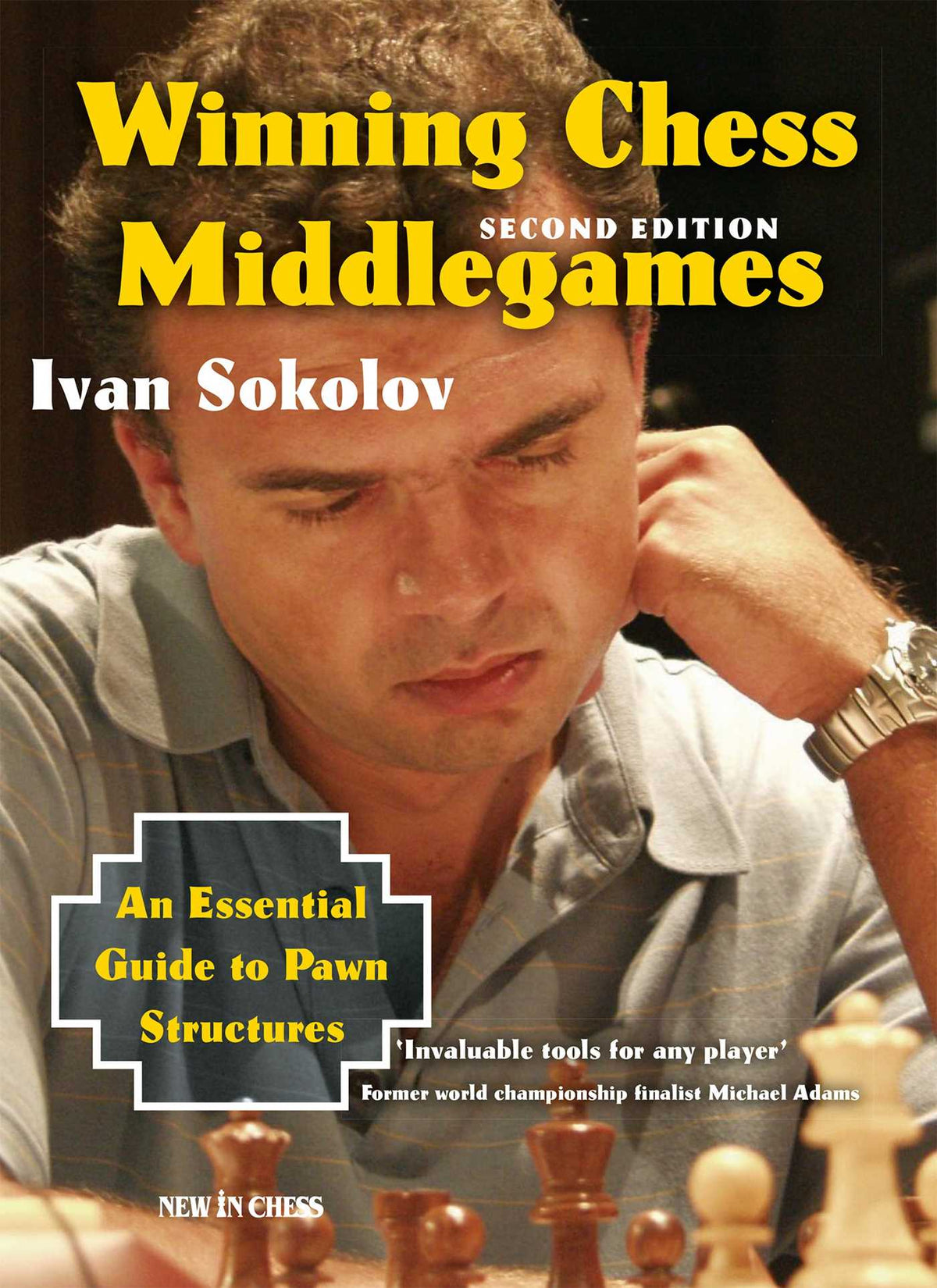 Winning Chess Middlegames