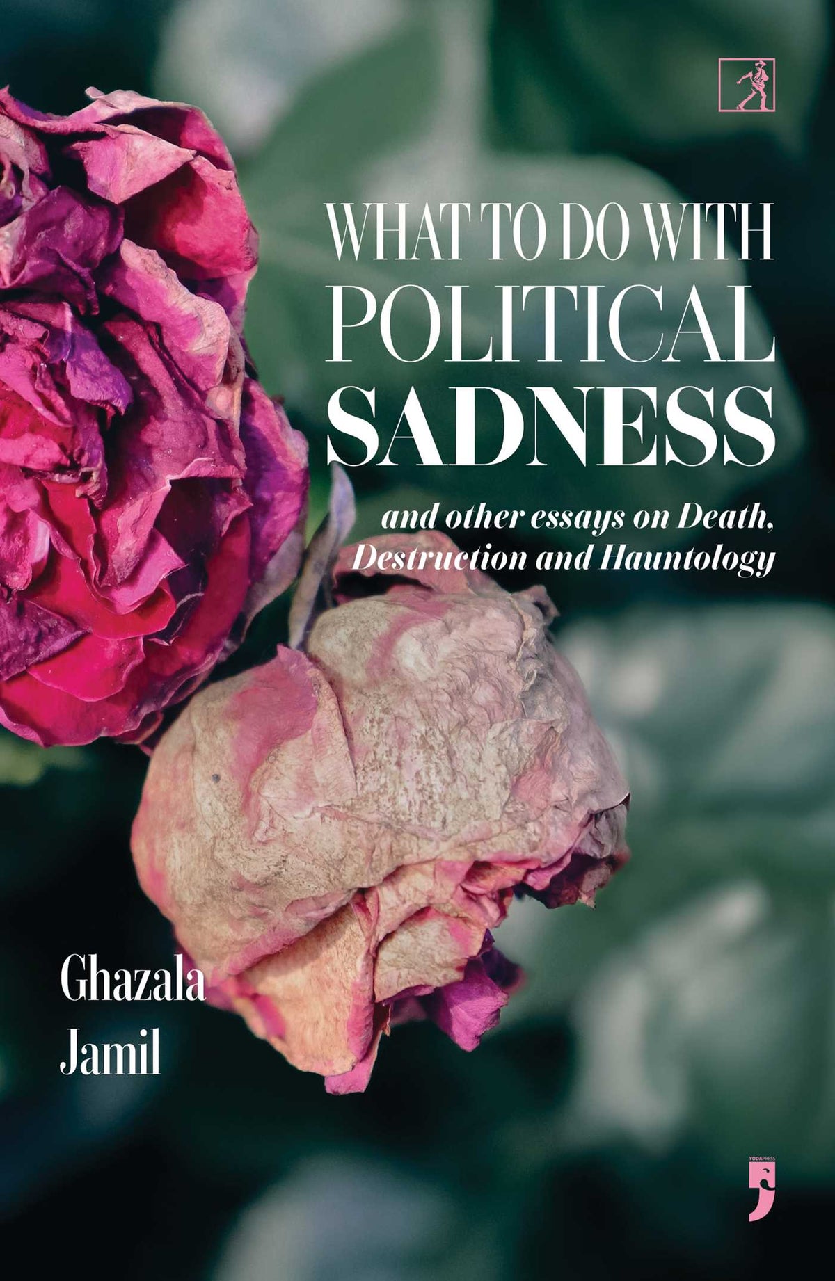 What to Do with Political Sadness