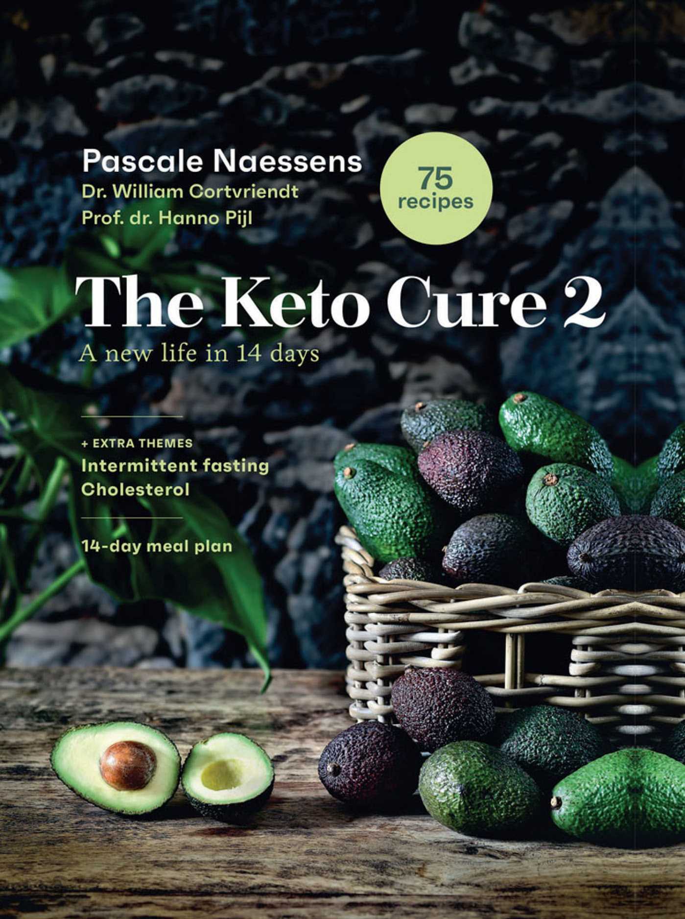 Keto Cure 2: A New Life in 14 Days