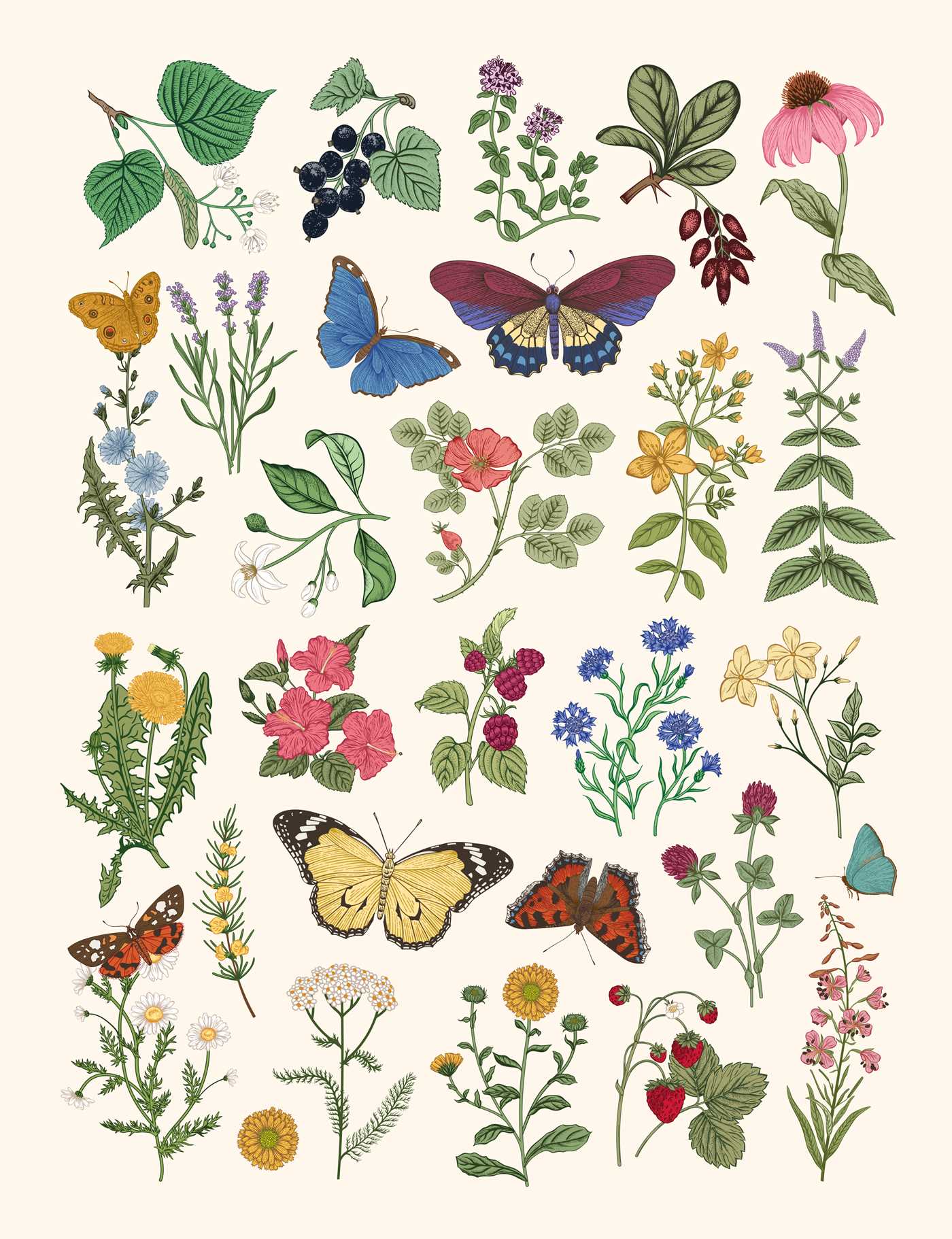 Botanical Embroidered Sketchbook