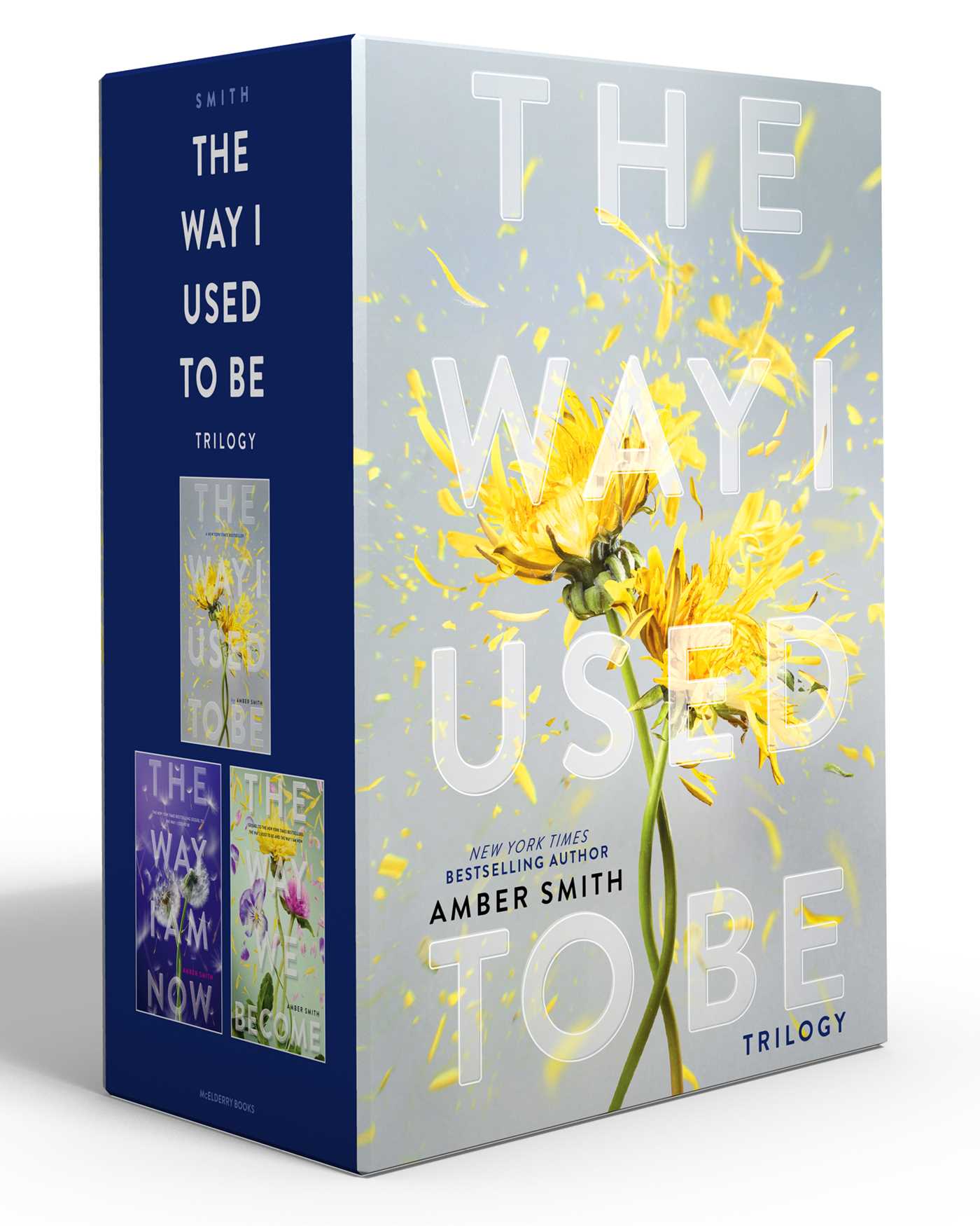 Way I Used to Be Trilogy (Boxed Set): The Way I Used to Be; The Way I Am Now; The Way We Become
