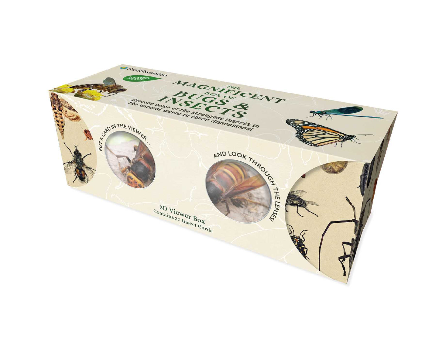 Magnificent Box of Bugs and Insects