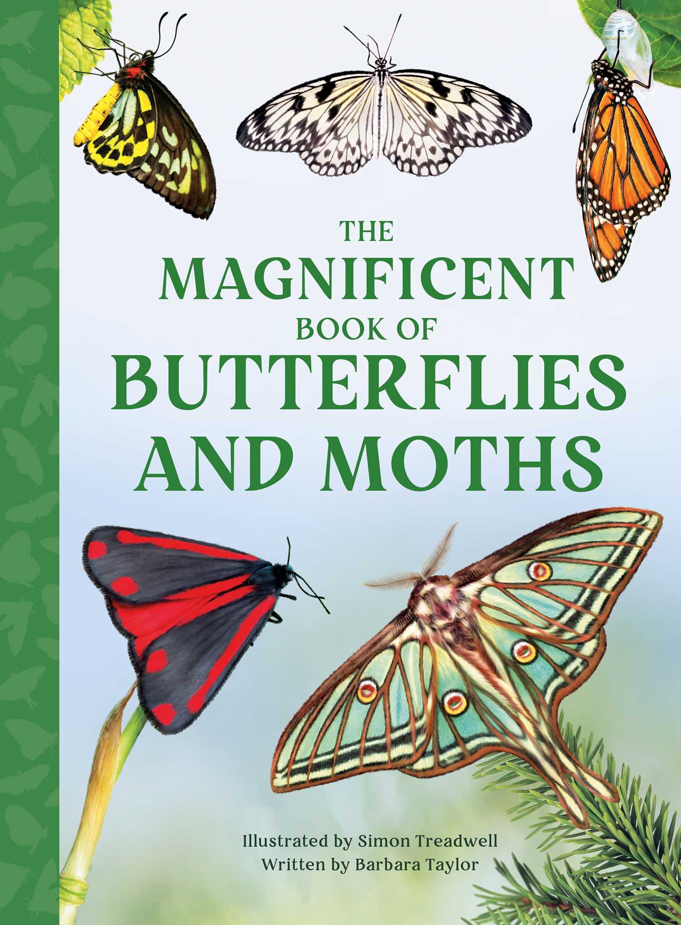 Magnificent Book of Butterflies & Moths