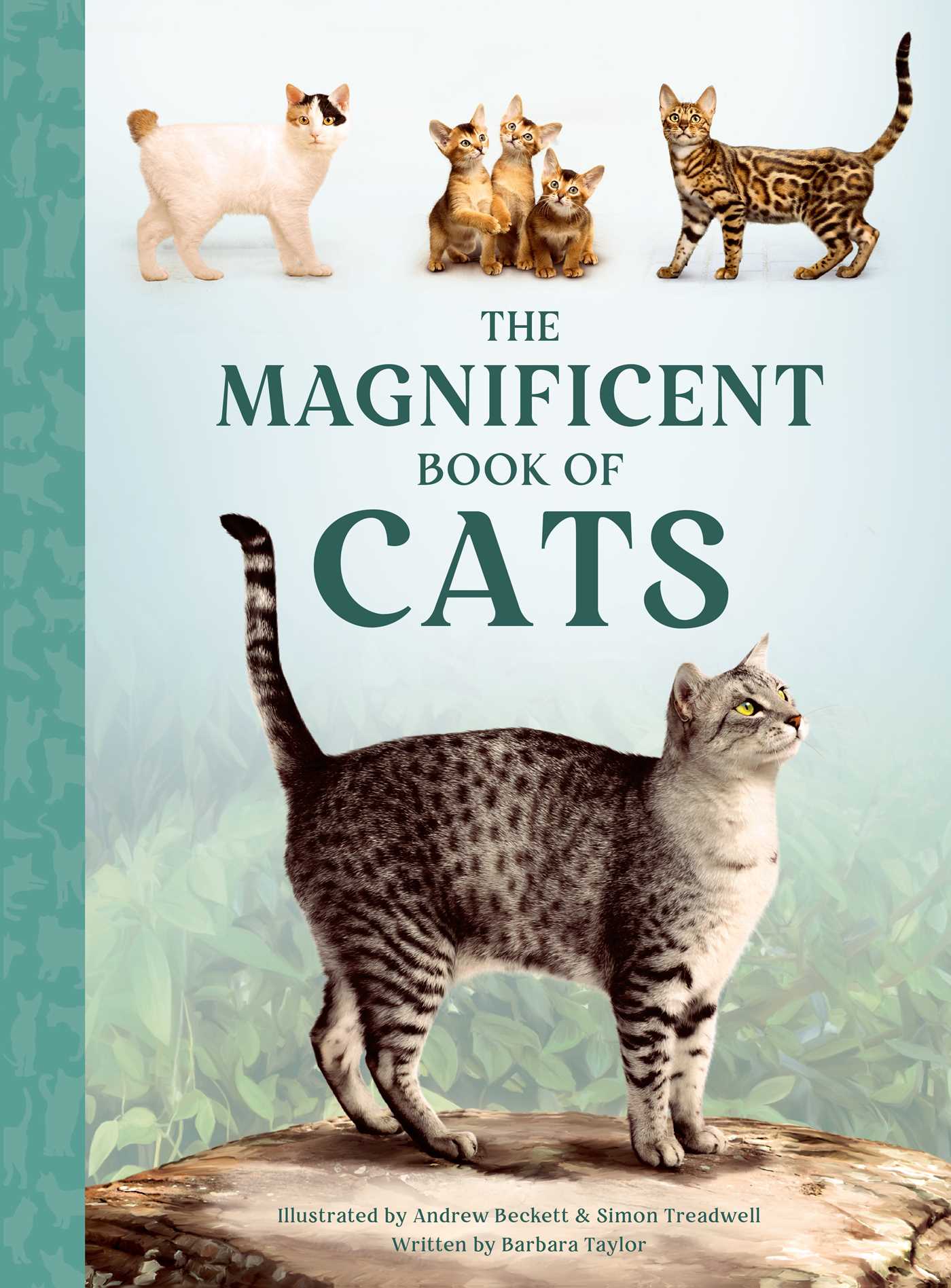 Magnificent Book of Cats