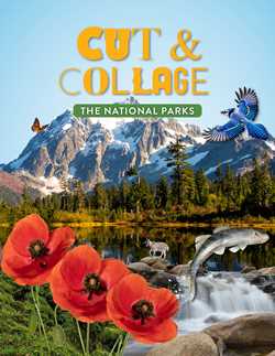 Cut & Collage National Parks