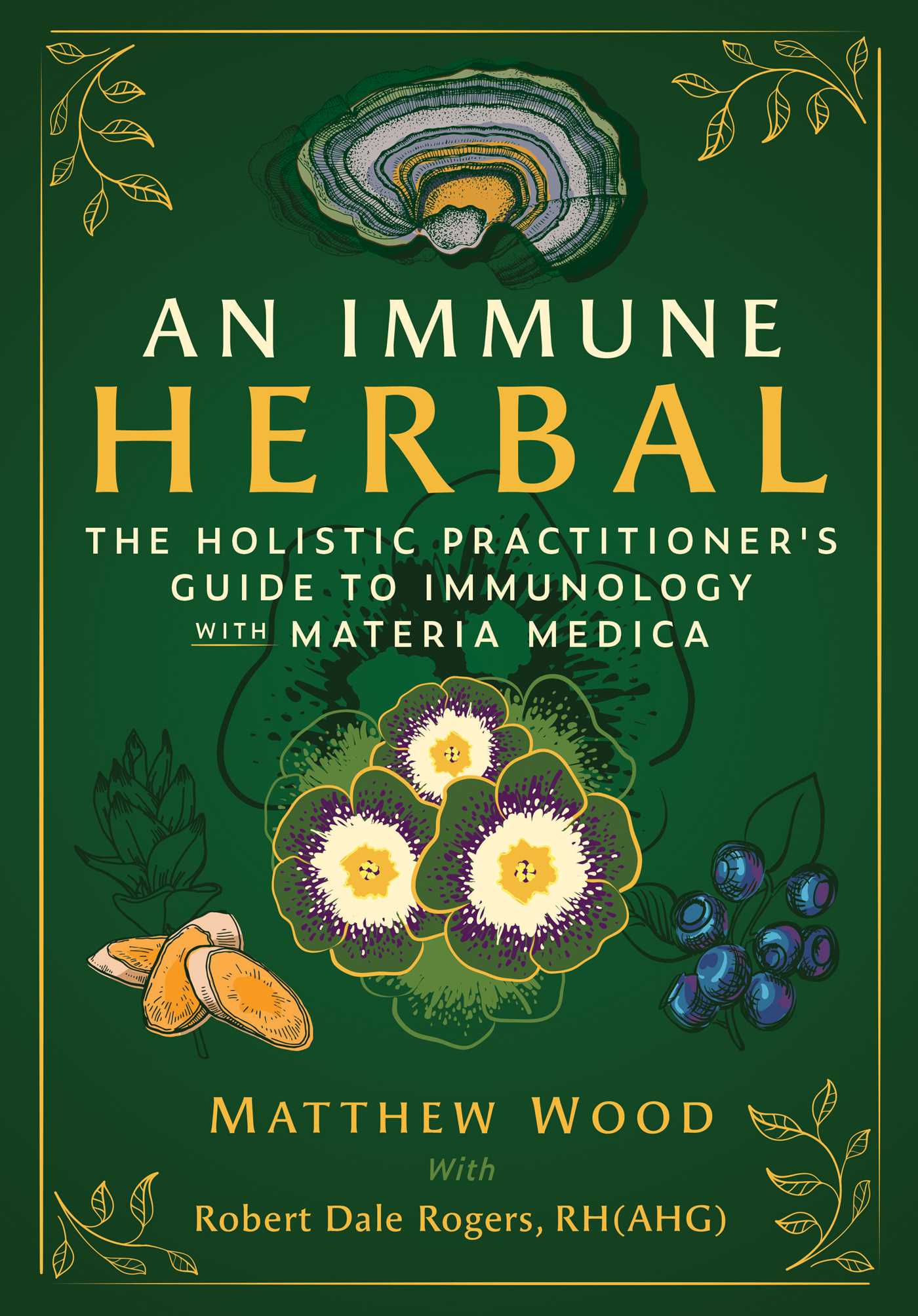 Immune Herbal: The Holistic Practitioner's Guide to Immunology with Materia Medica